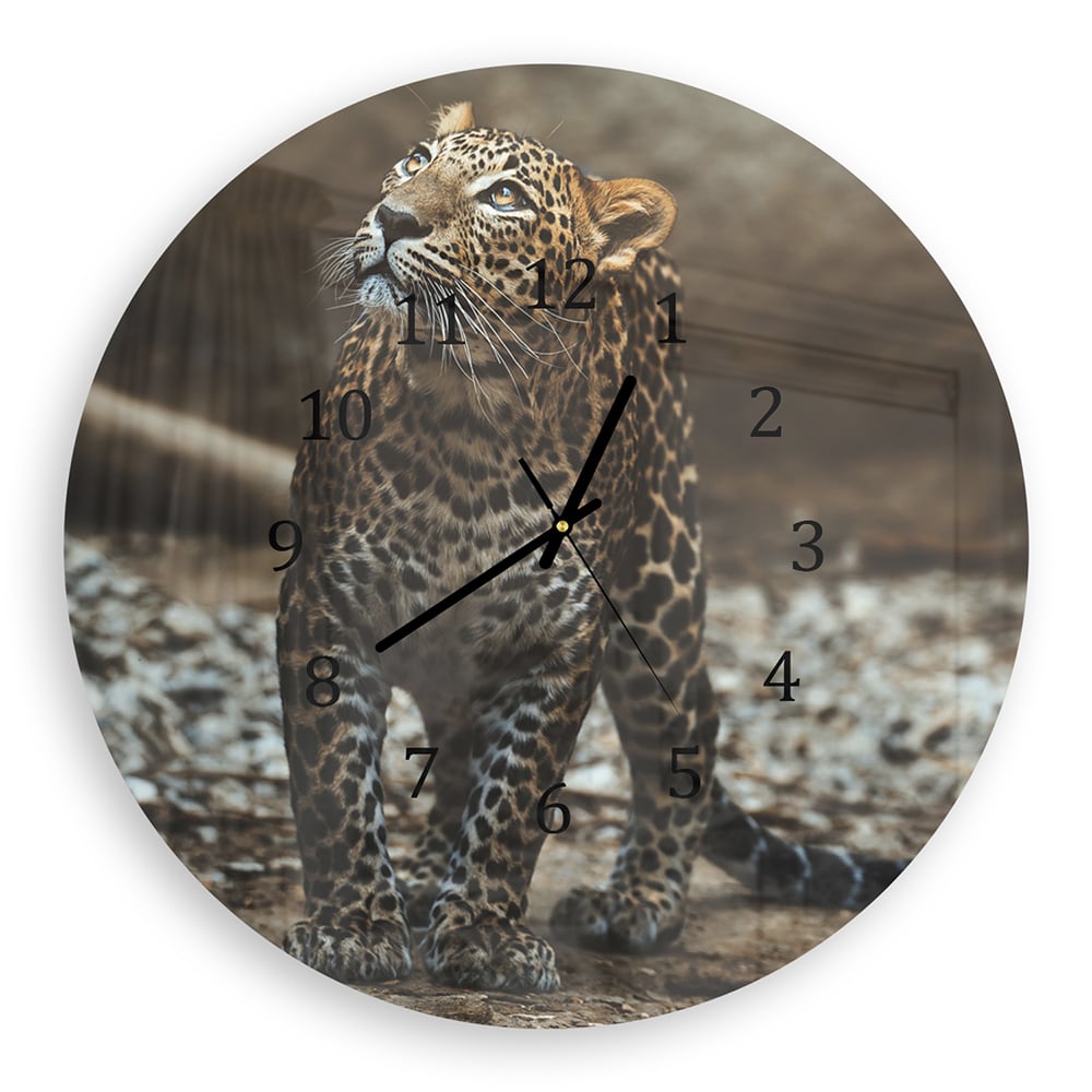 Wanduhr Rund - Ceylon-Leopard