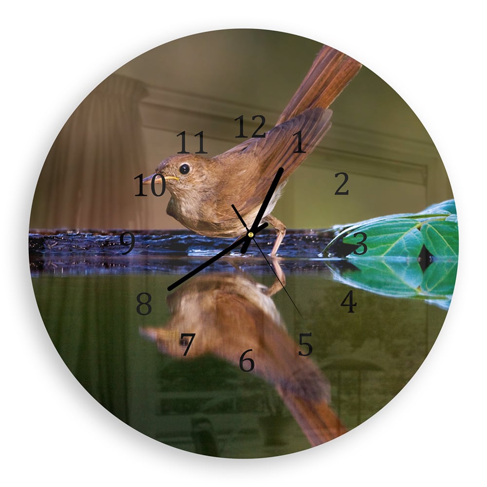 Wanduhr Rund - Nachtigall