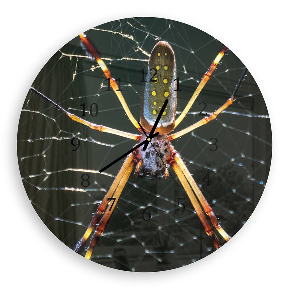 Wanduhr Rund - Goldene Webspinne