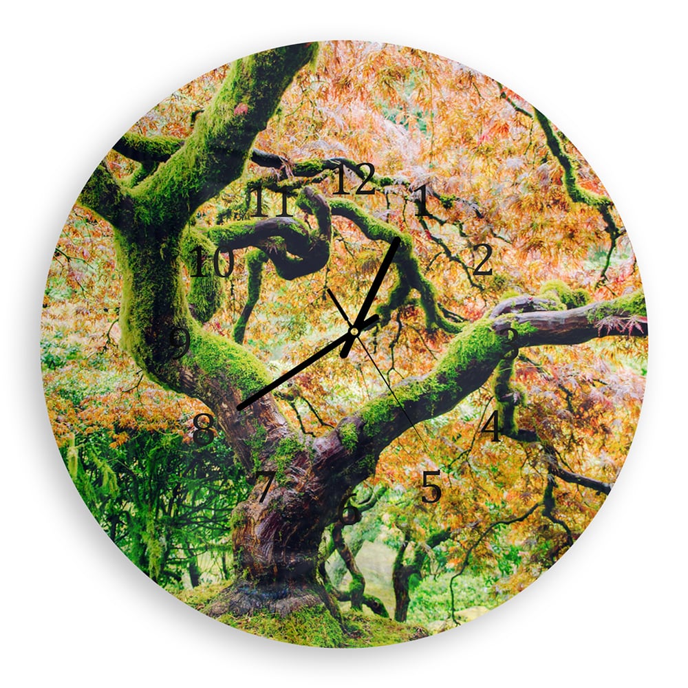 Wanduhr Rund - Moosiger Baum im Herbst