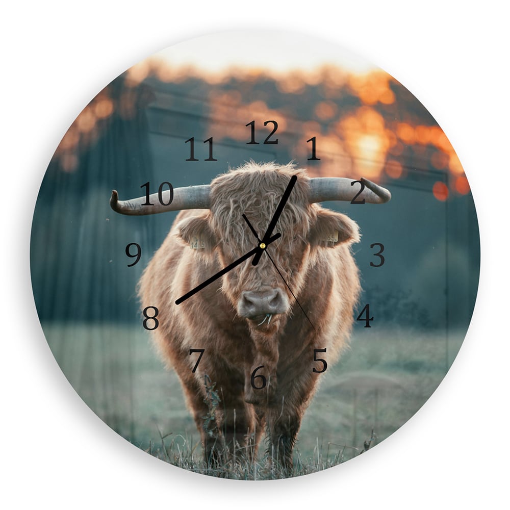 Wanduhr Rund - Hochlandrind am Abend