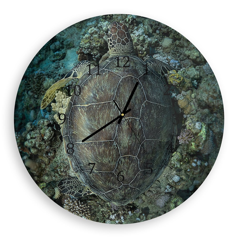 Wanduhr Rund - Schildkröte und Korallen