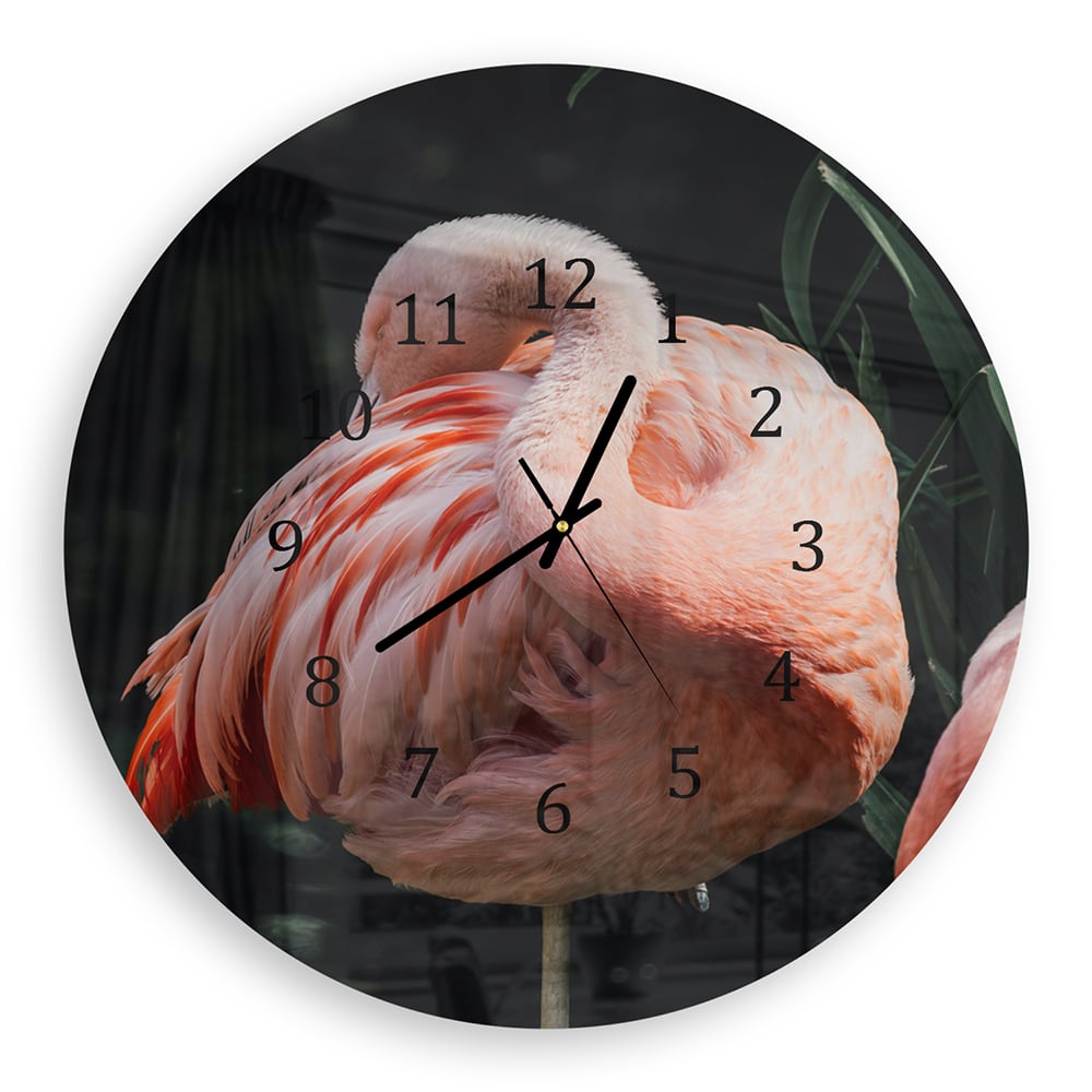 Wanduhr Rund - Flamingo in der Natur