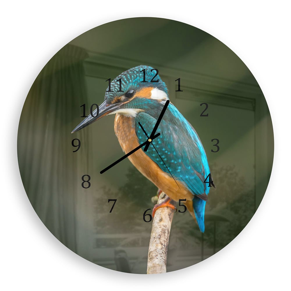 Wanduhr Rund - Bunter Eisvogel