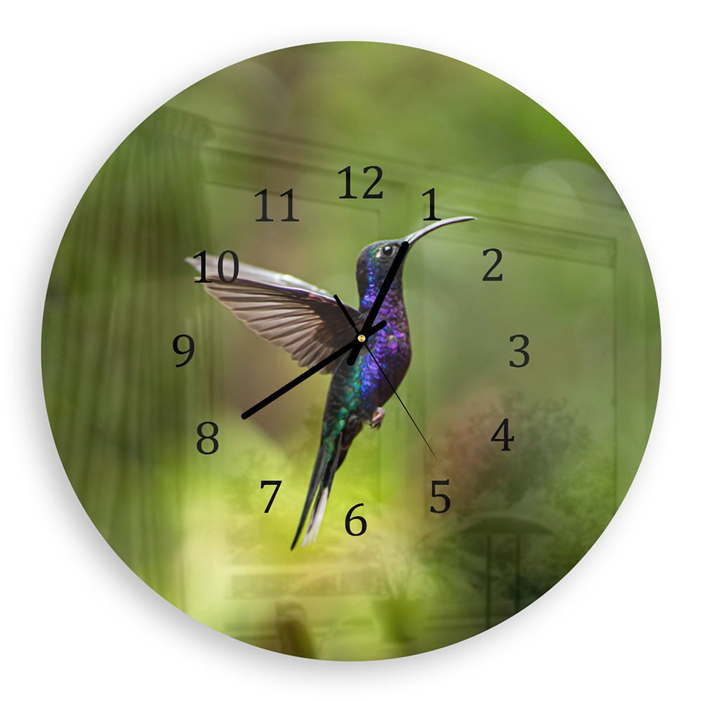 Wanduhr Rund - Bunter Kolibri