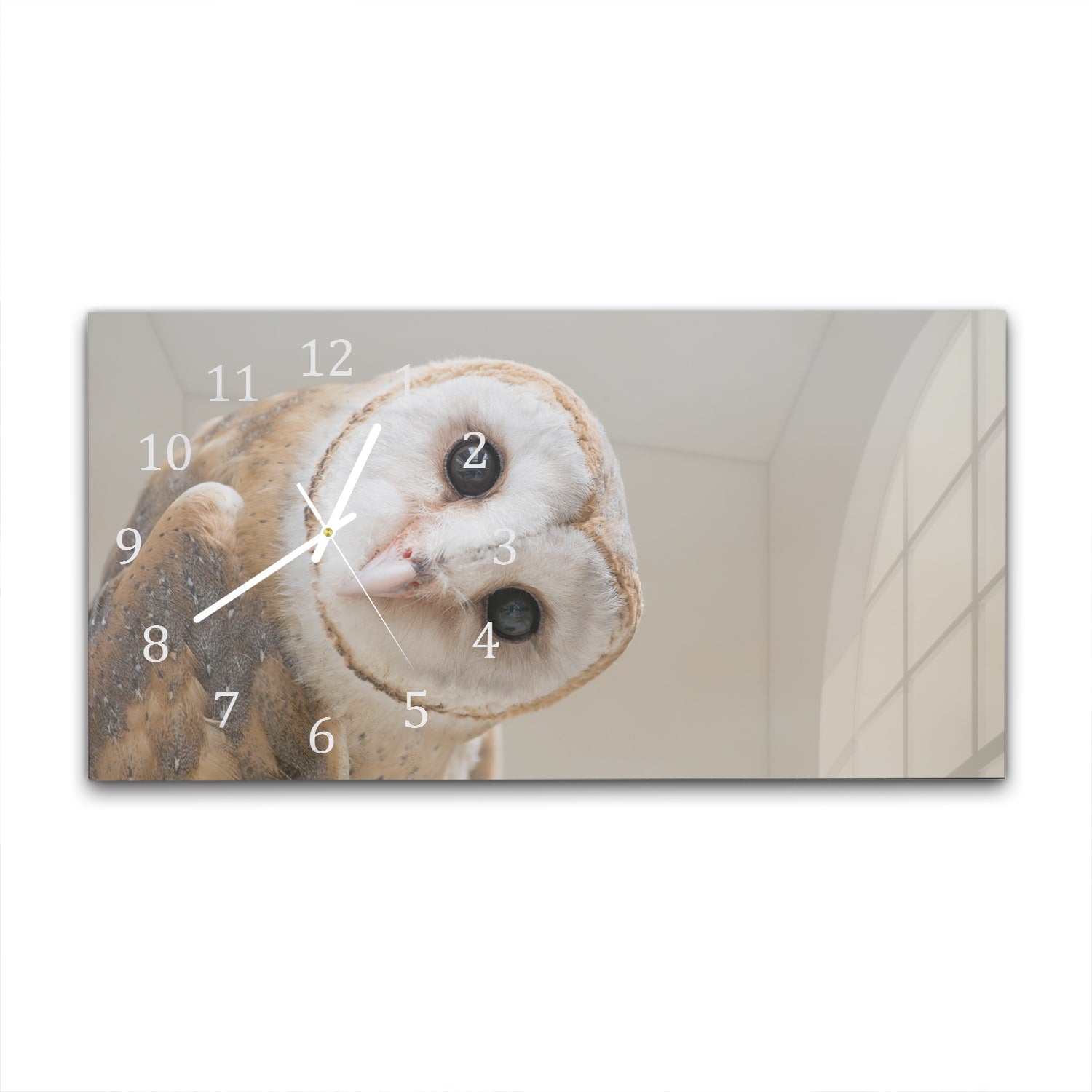 Wanduhr 60x30 - Schleiereule