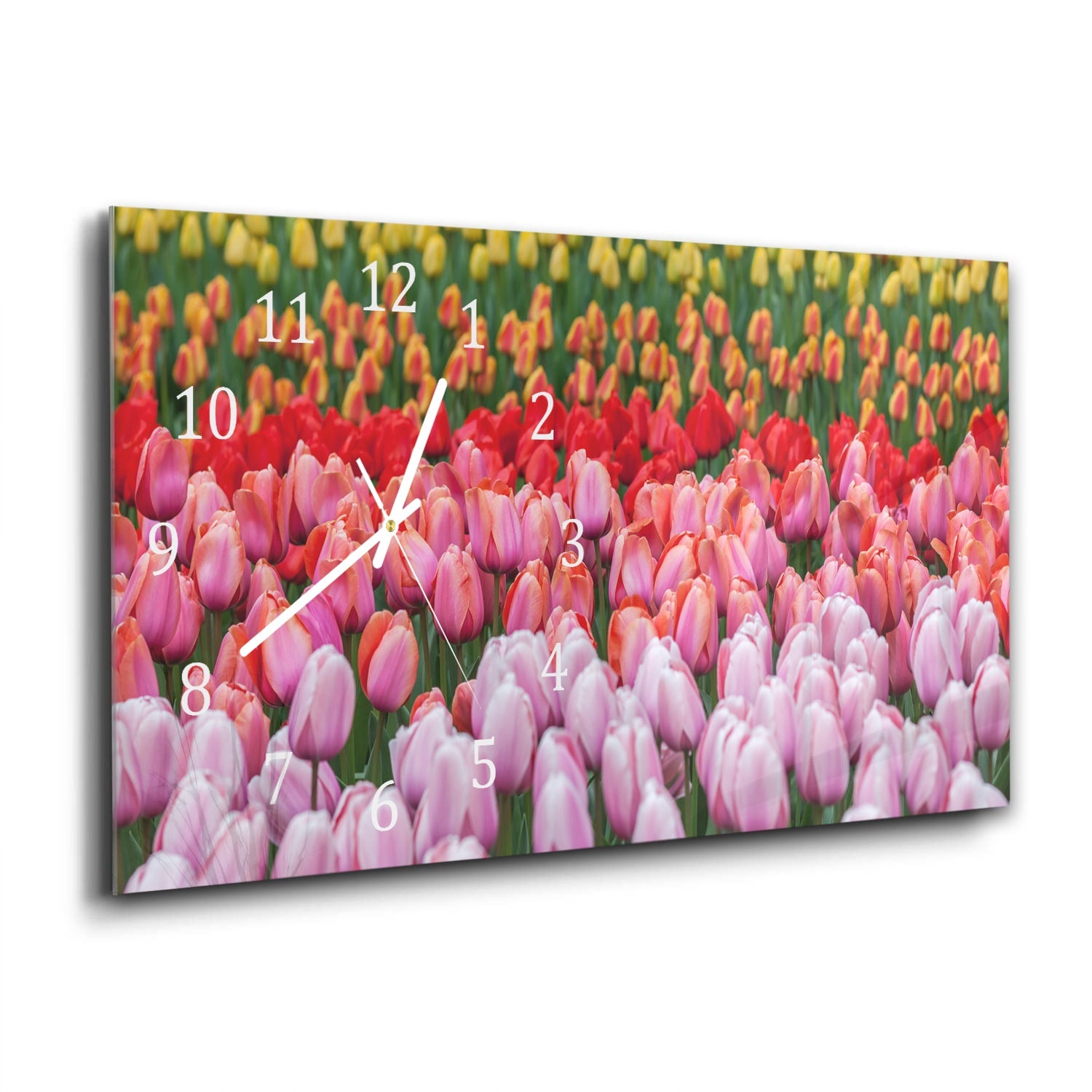Wanduhr 60x30 - Tulpenfeld in Lisse