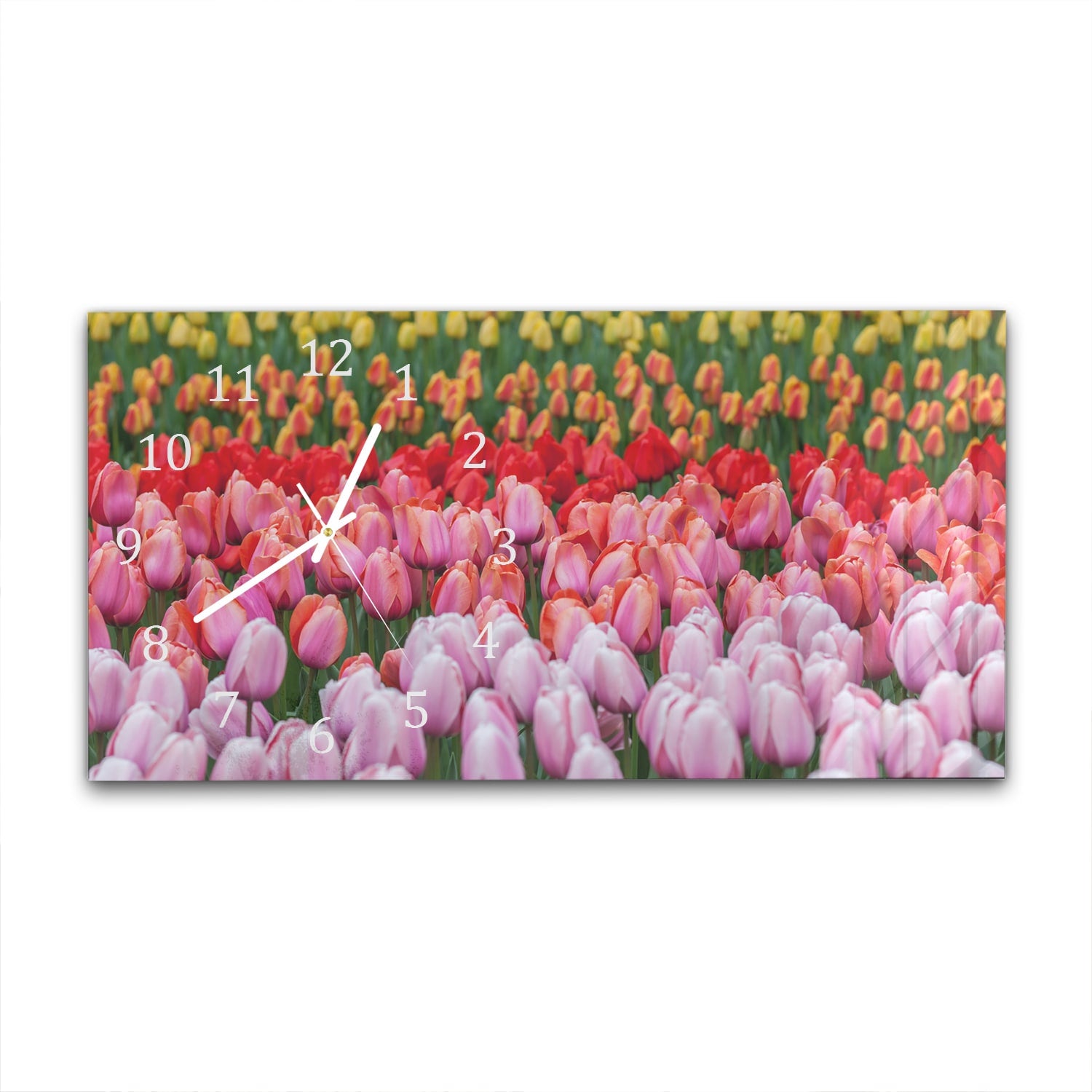 Wanduhr 60x30 - Tulpenfeld in Lisse