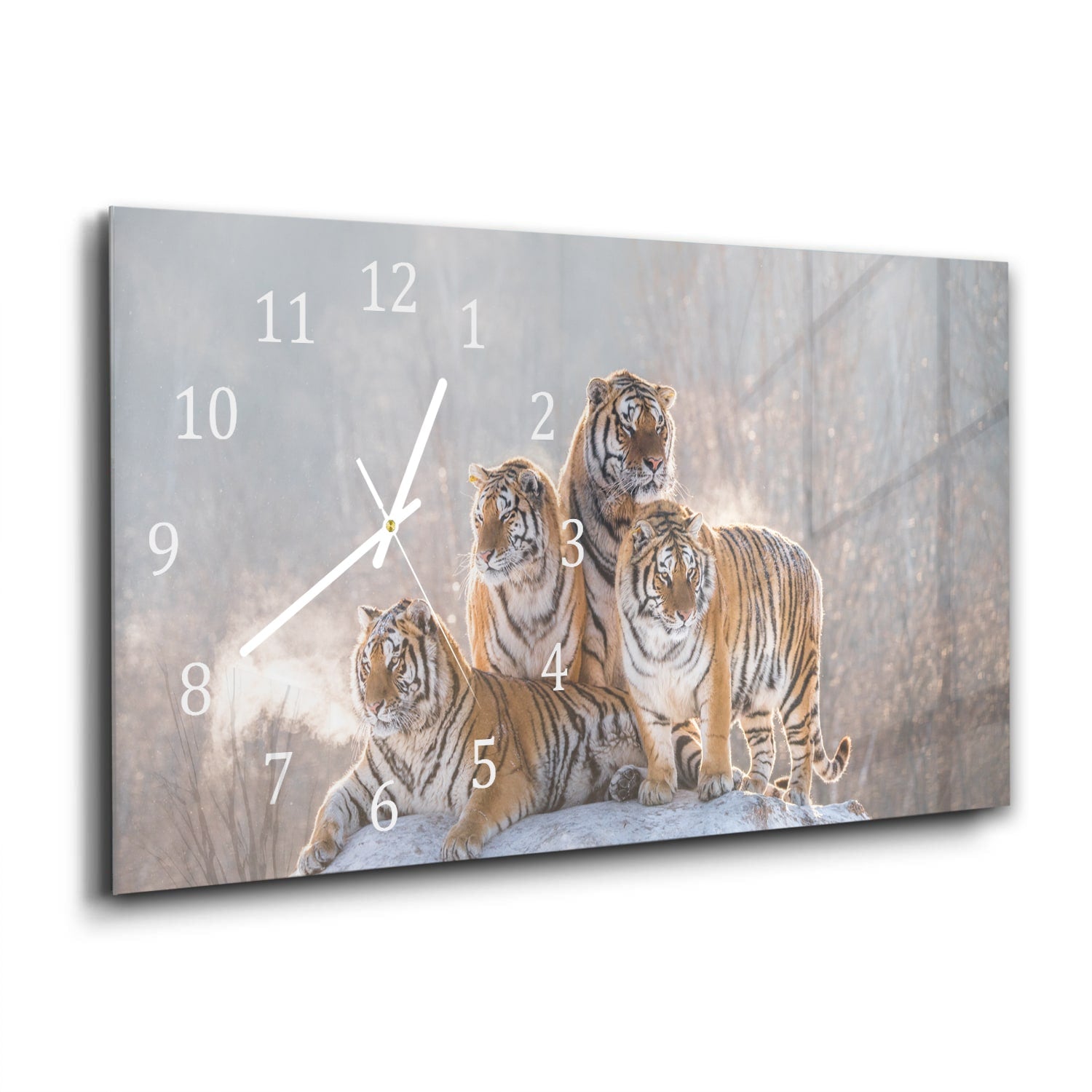 Wanduhr 60x30 - Gruppe von Tigern