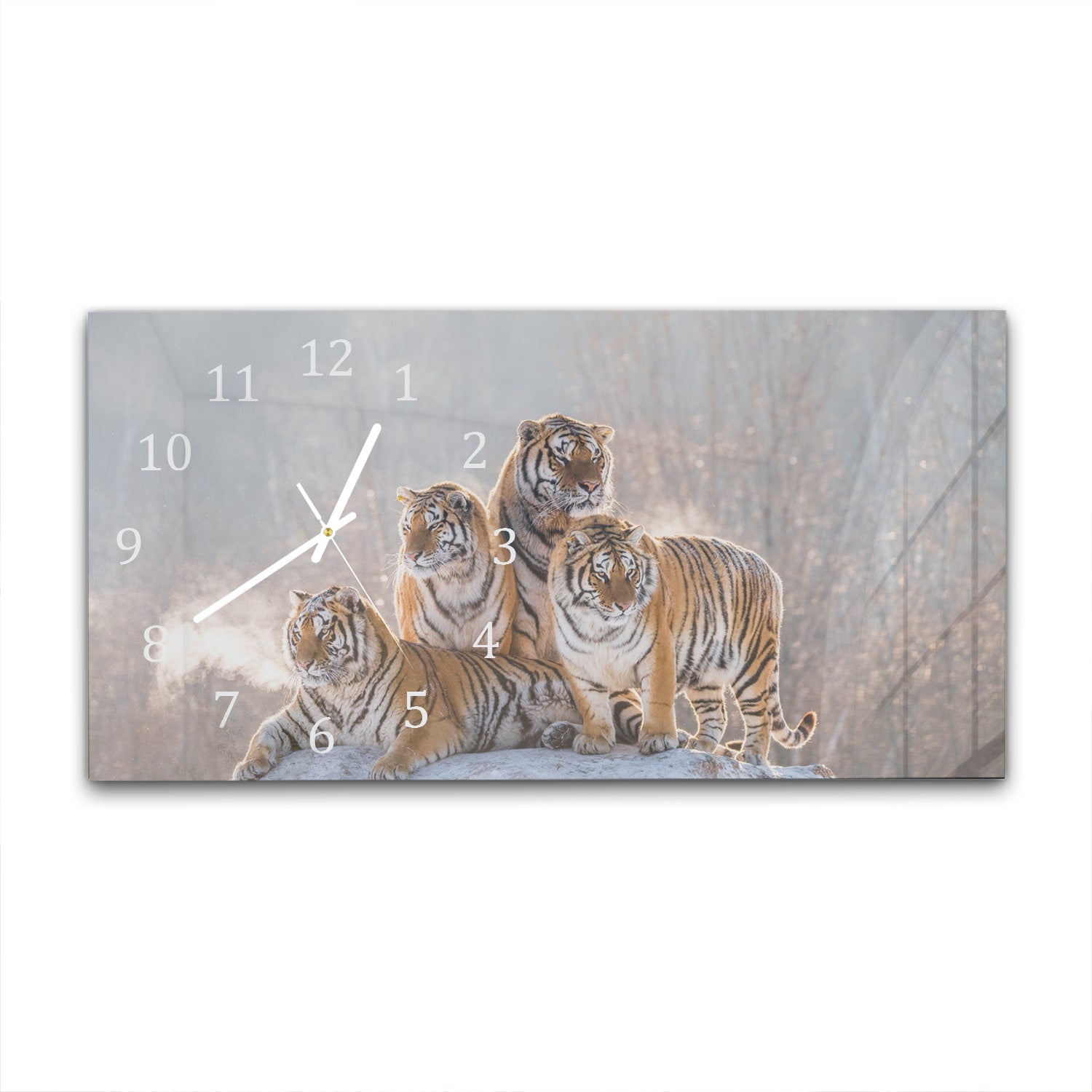 Wanduhr 60x30 - Gruppe von Tigern
