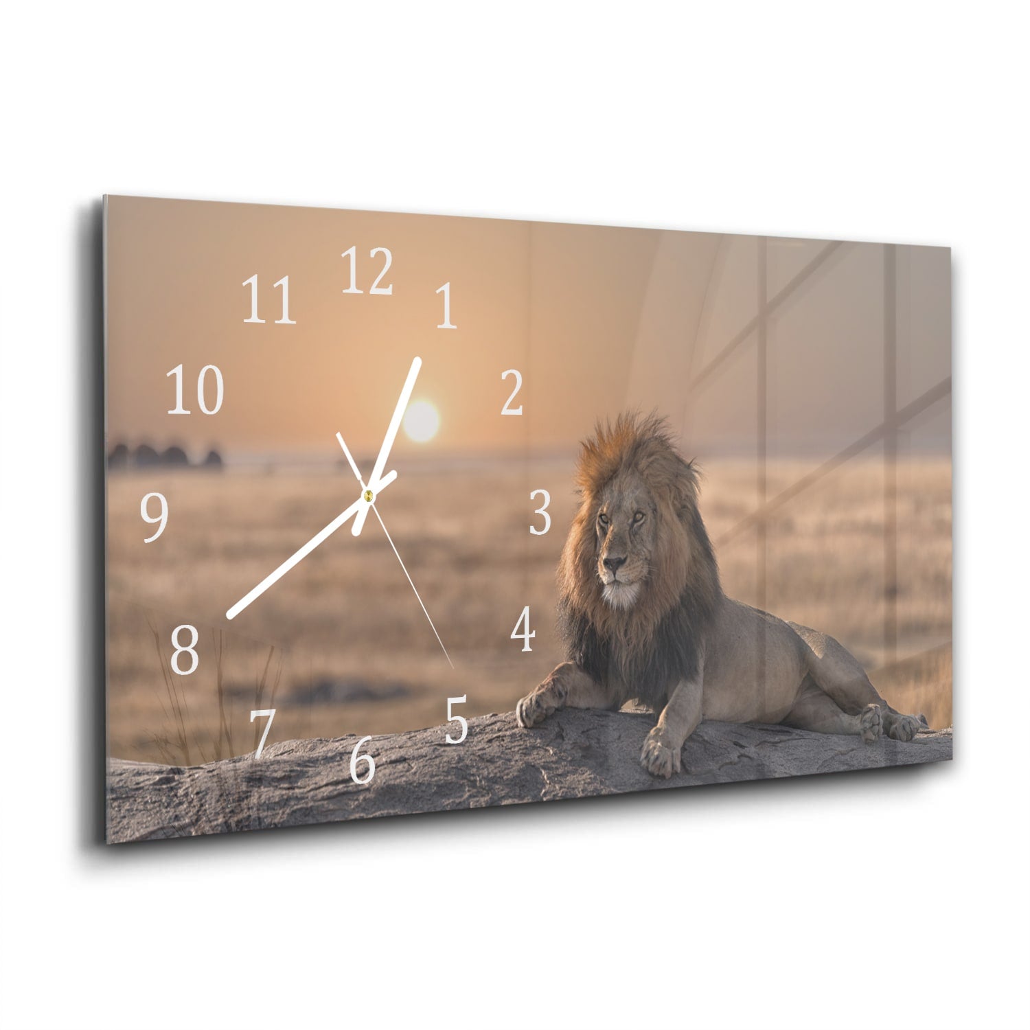 Wanduhr 60x30 - Löwe auf einem Felsen
