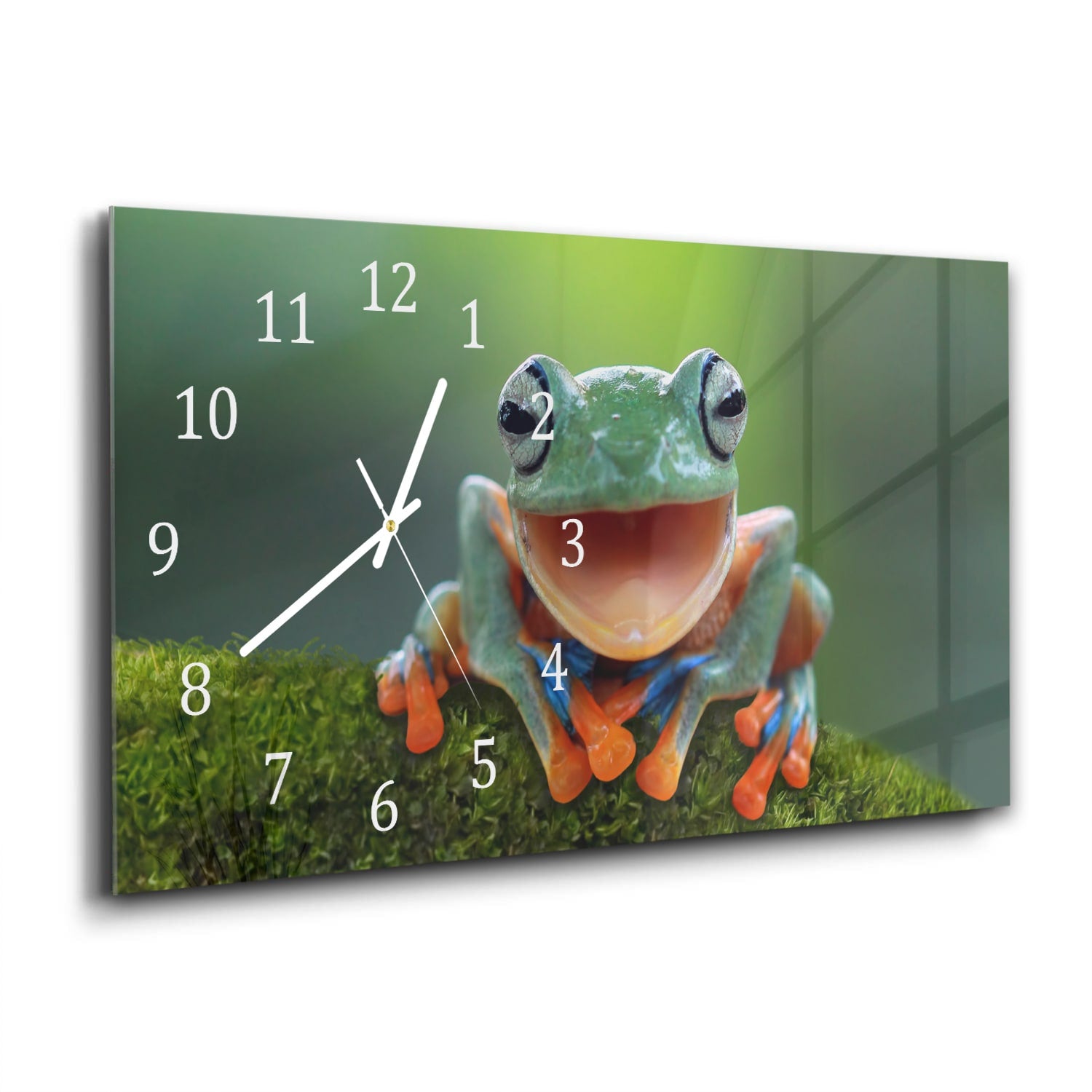 Wanduhr 60x30 - Baumfrosch