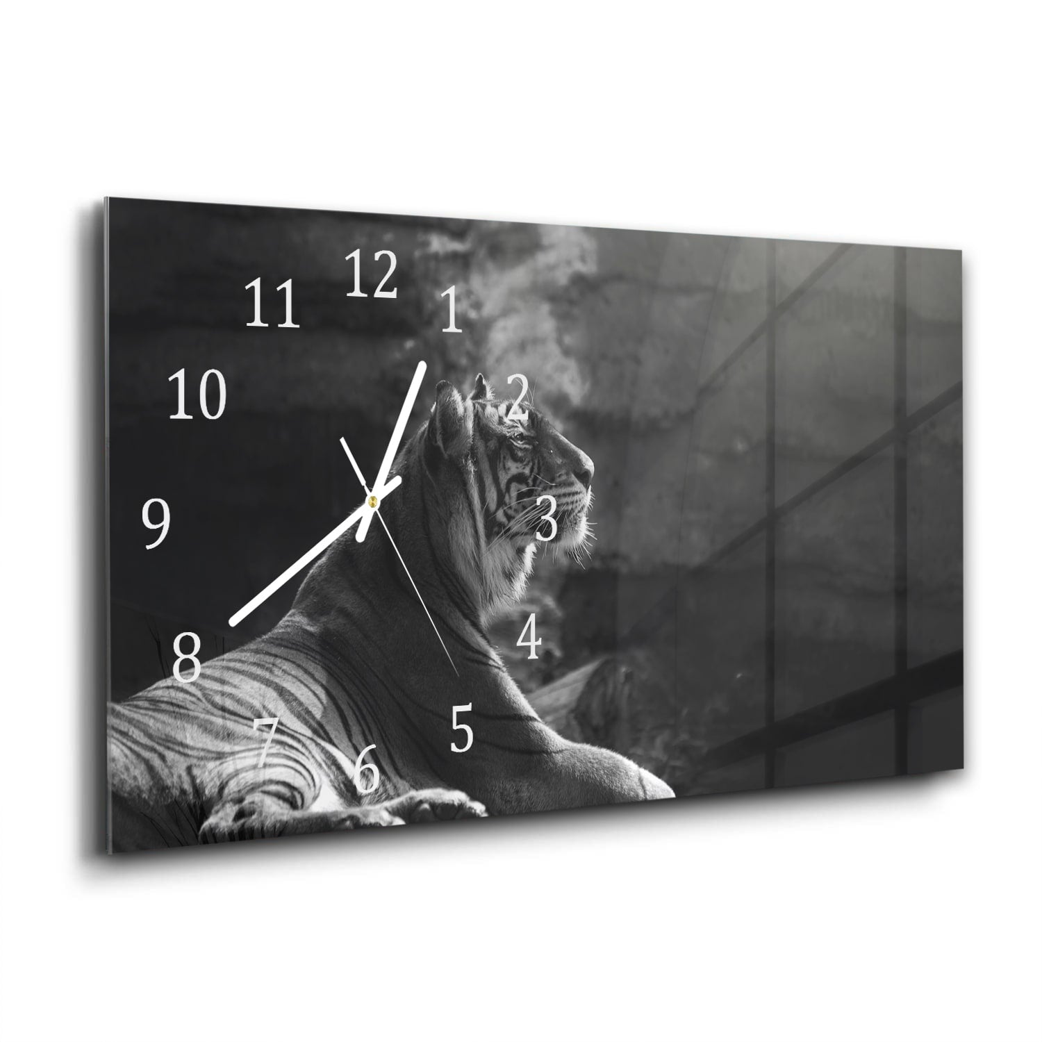 Wanduhr 60x30 - Sumatra-Tiger