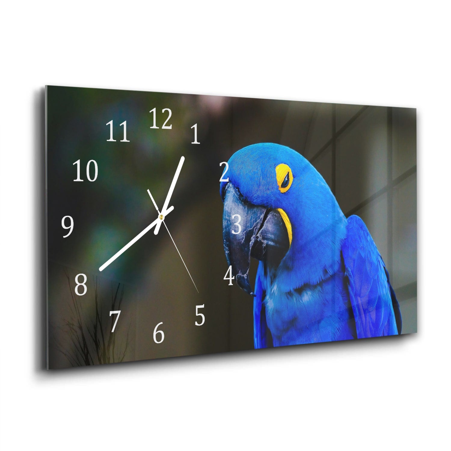 Wanduhr 60x30 - Blaue Aras