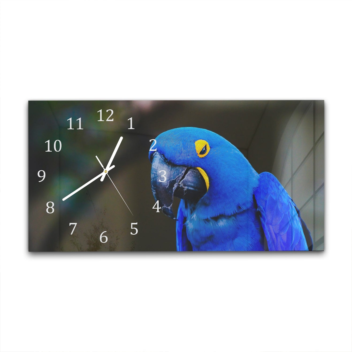 Wanduhr 60x30 - Blaue Aras