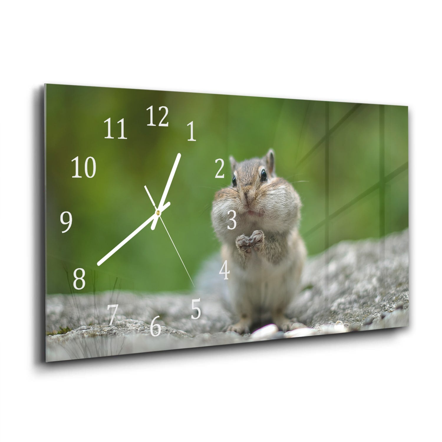 Wanduhr 60x30 - Eichhörnchen