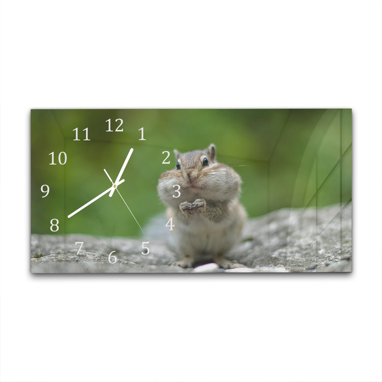 Wanduhr 60x30 - Eichhörnchen