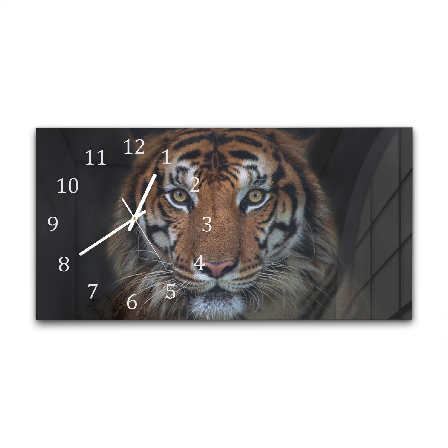 Wanduhr 60x30 - Sumatra böser Tiger