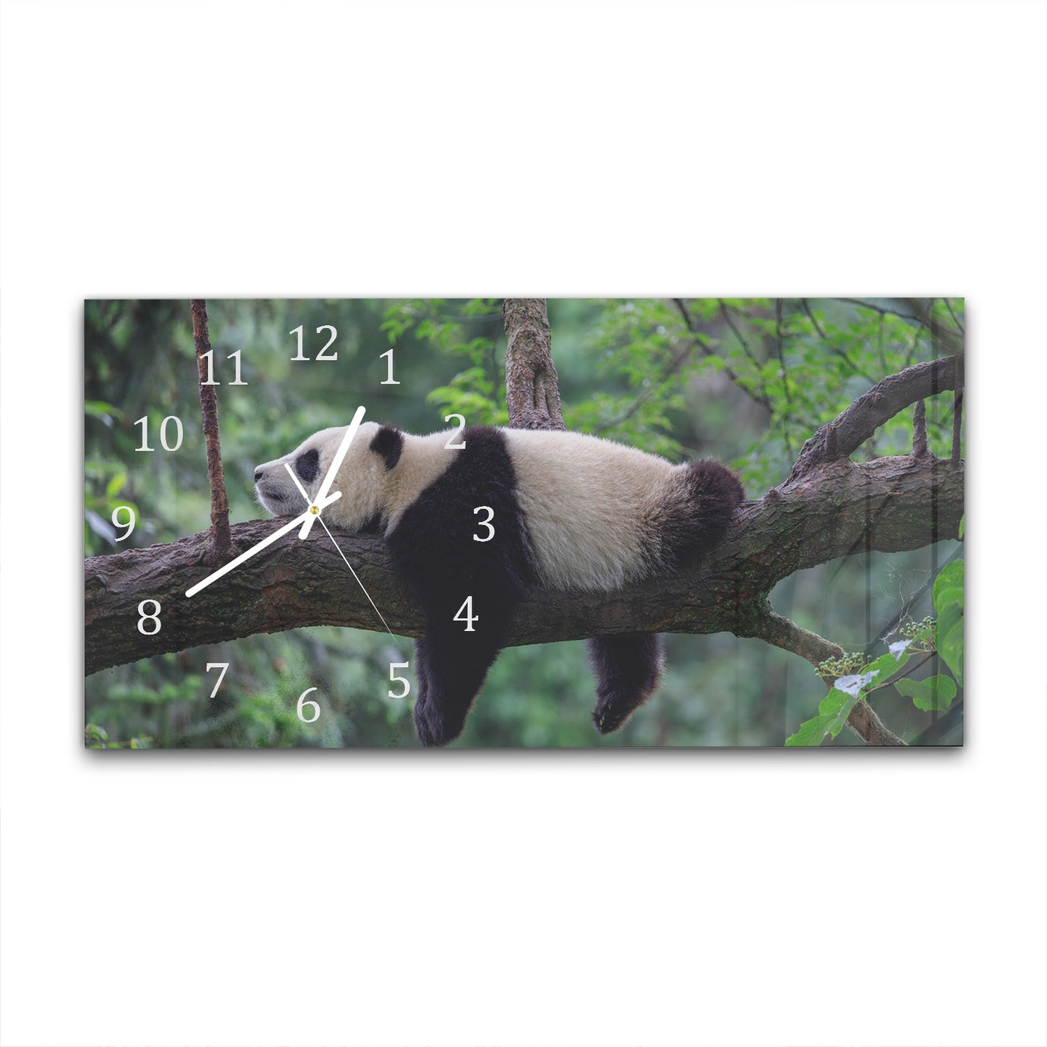 Wanduhr 60x30 - Panda