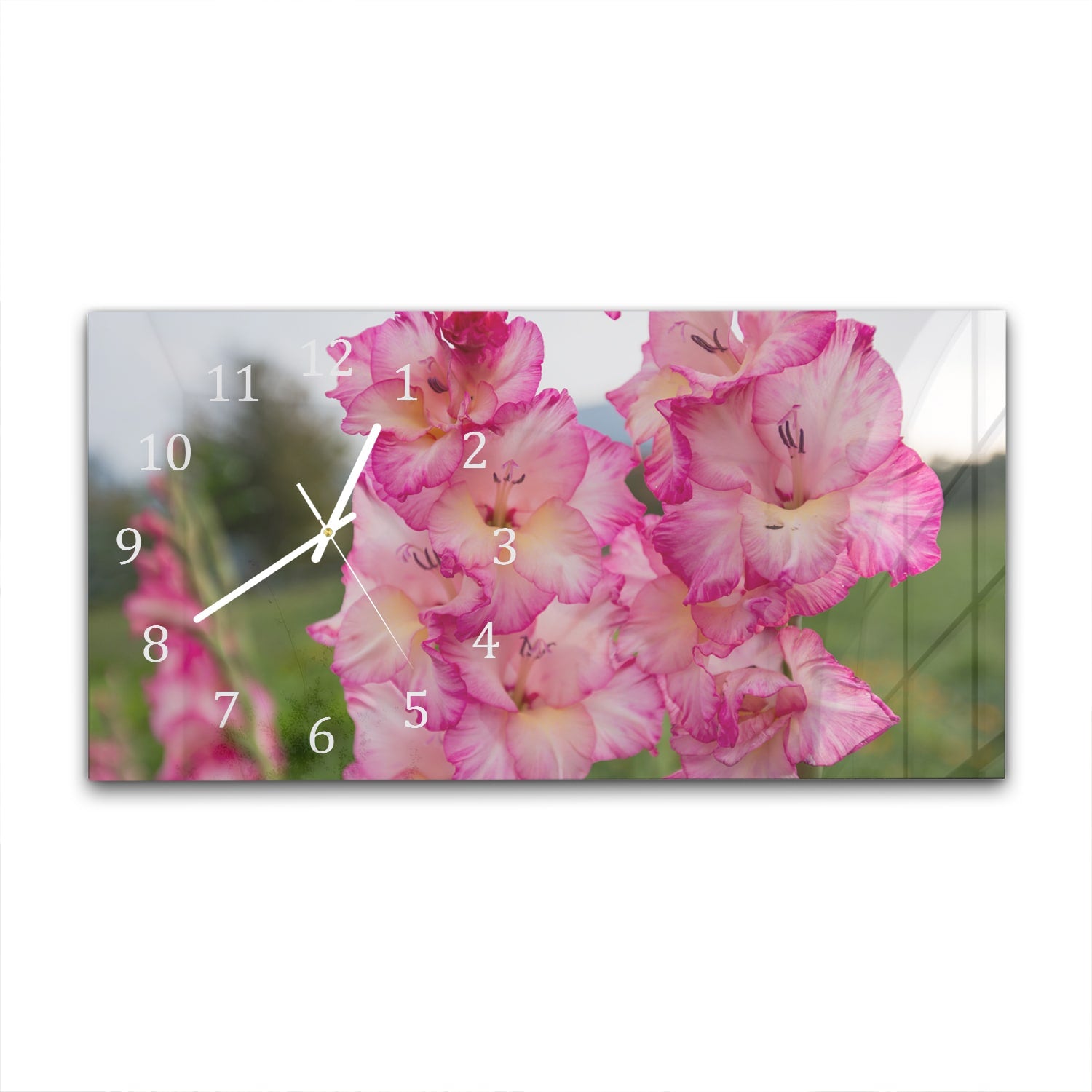 Wanduhr 60x30 - Rosa Gladiolen