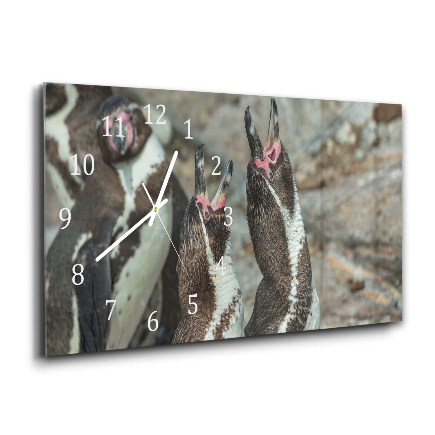 Wanduhr 60x30 - Fröhliche Pinguine