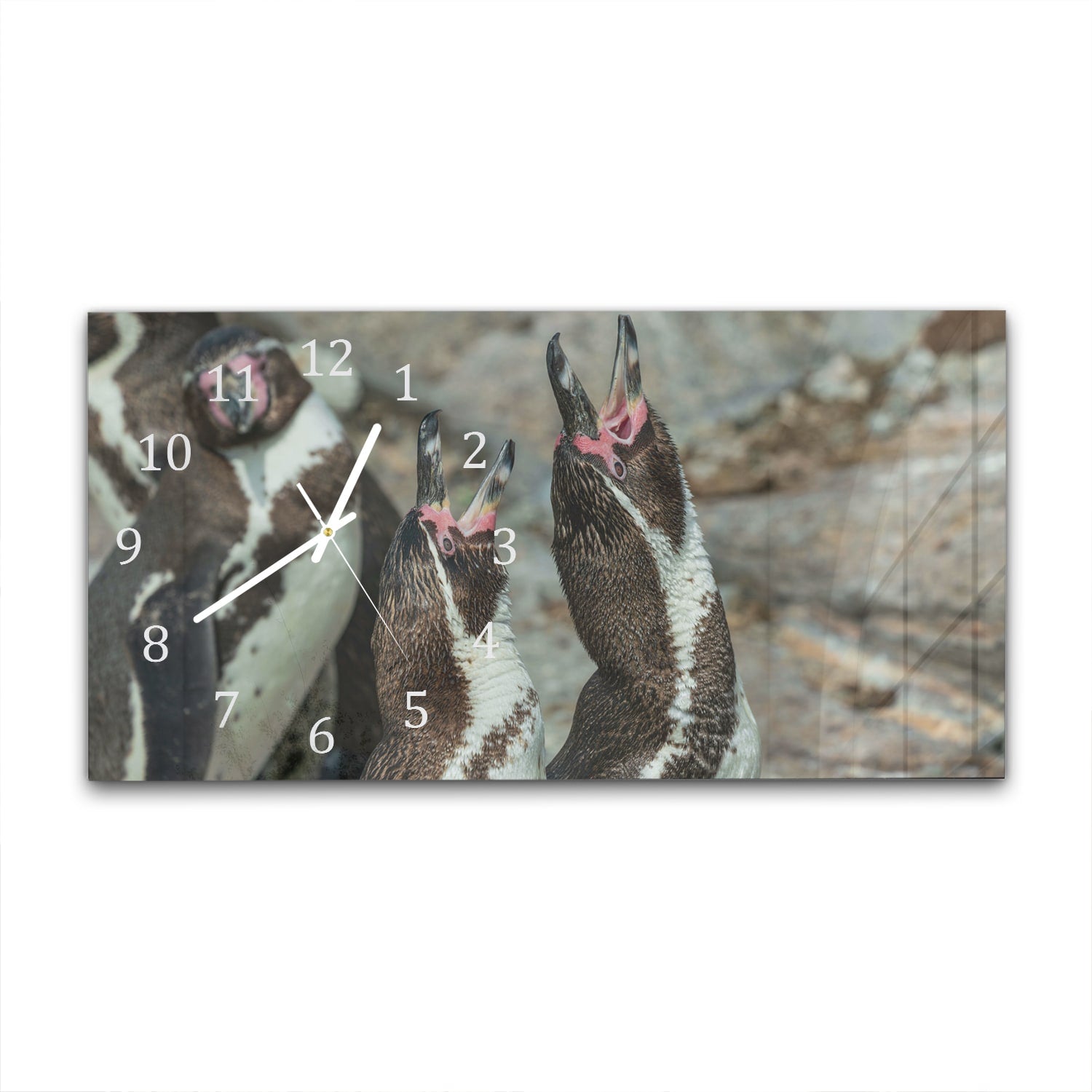 Wanduhr 60x30 - Fröhliche Pinguine