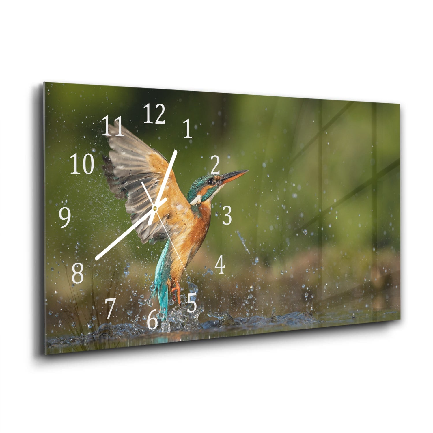 Wanduhr 60x30 - Eisvogel
