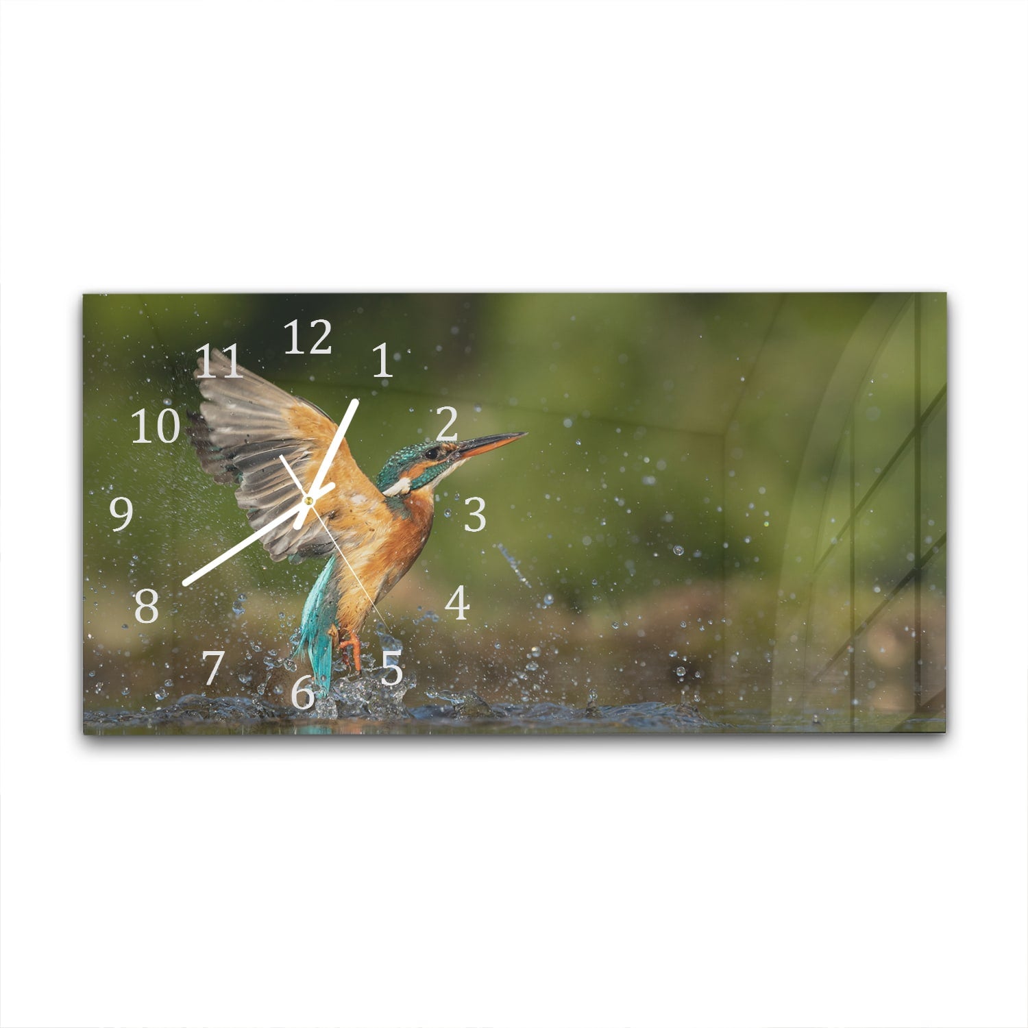 Wanduhr 60x30 - Eisvogel