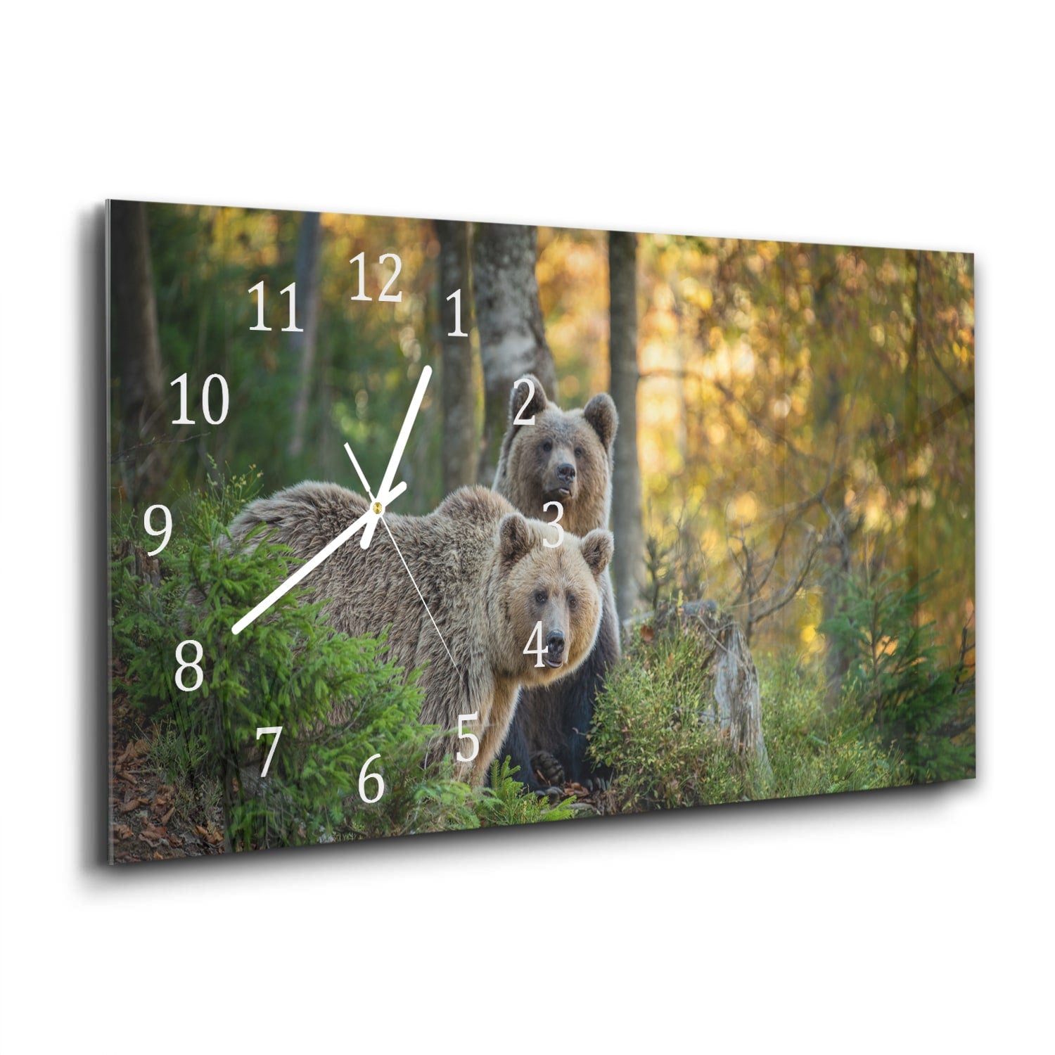 Wanduhr 60x30 - Braunbären