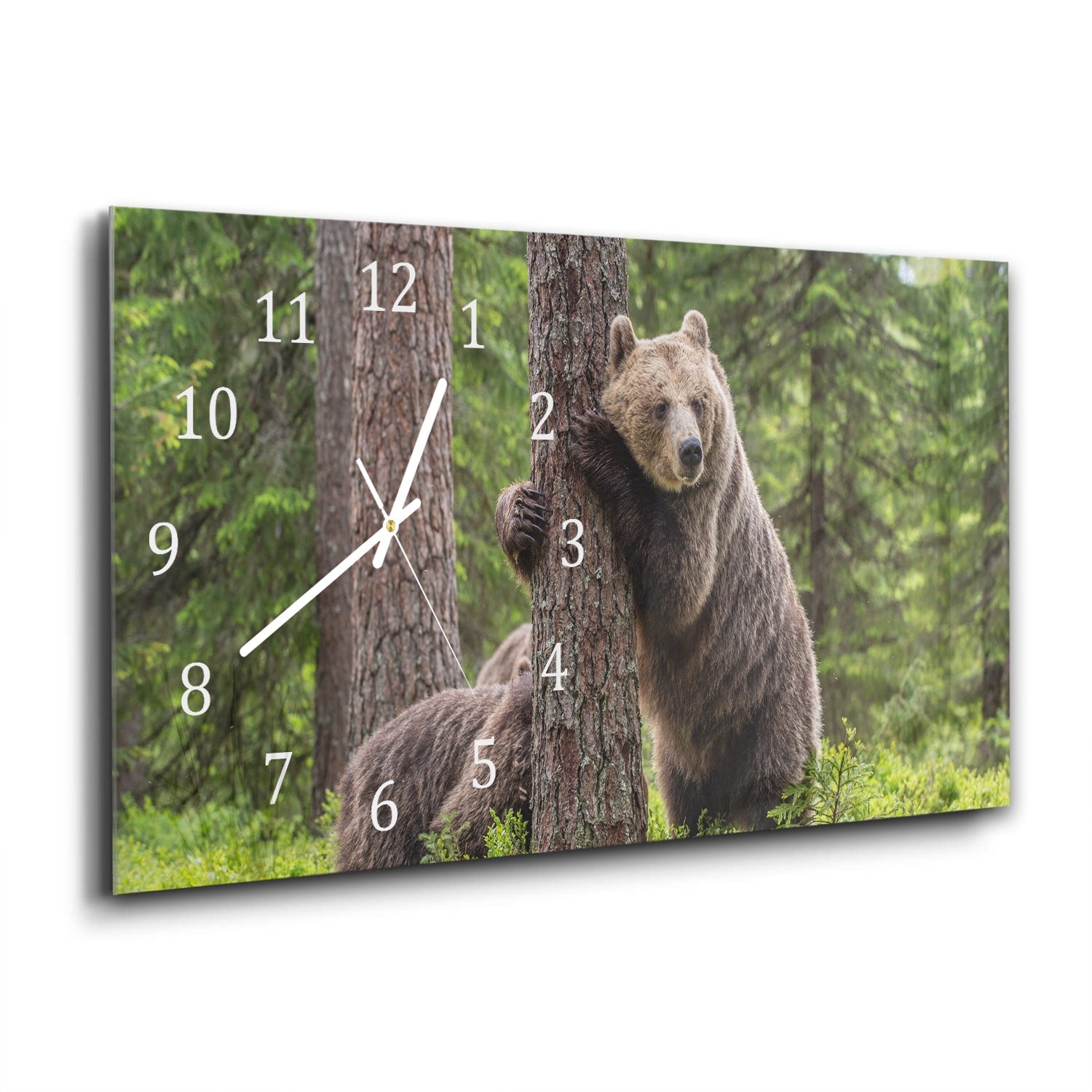 Wanduhr 60x30 - Braunbären im Wald