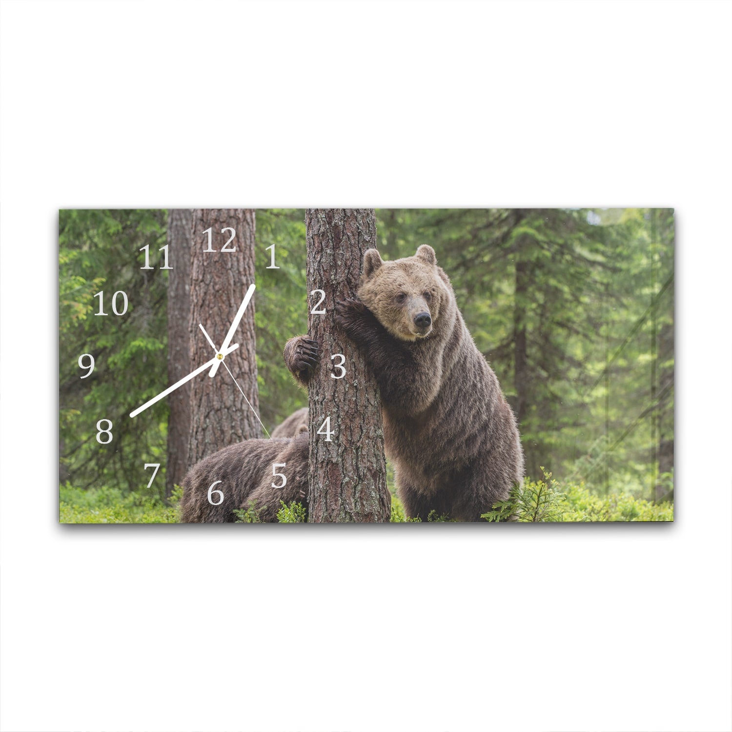 Wanduhr 60x30 - Braunbären im Wald