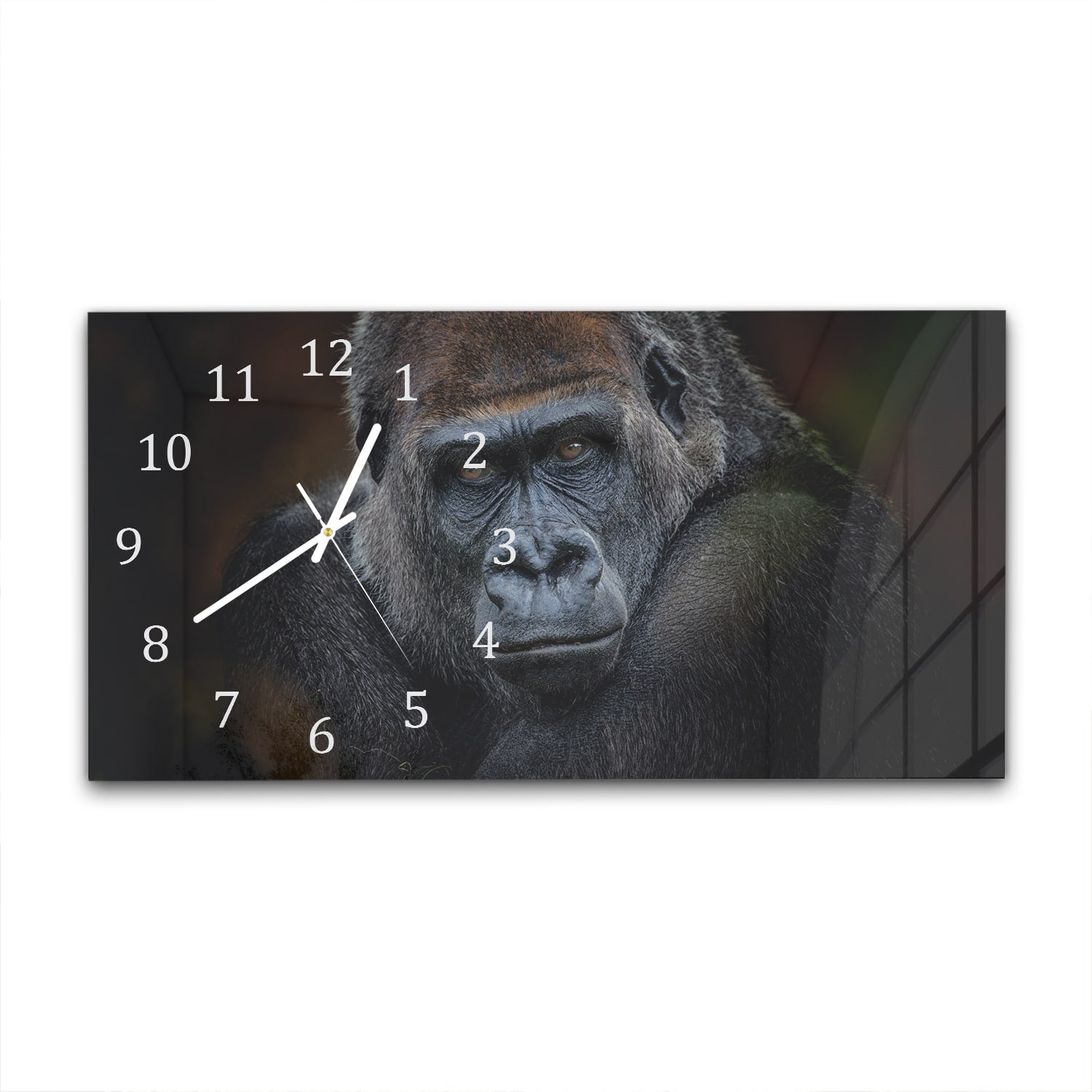 Wanduhr 60x30 - Gorilla