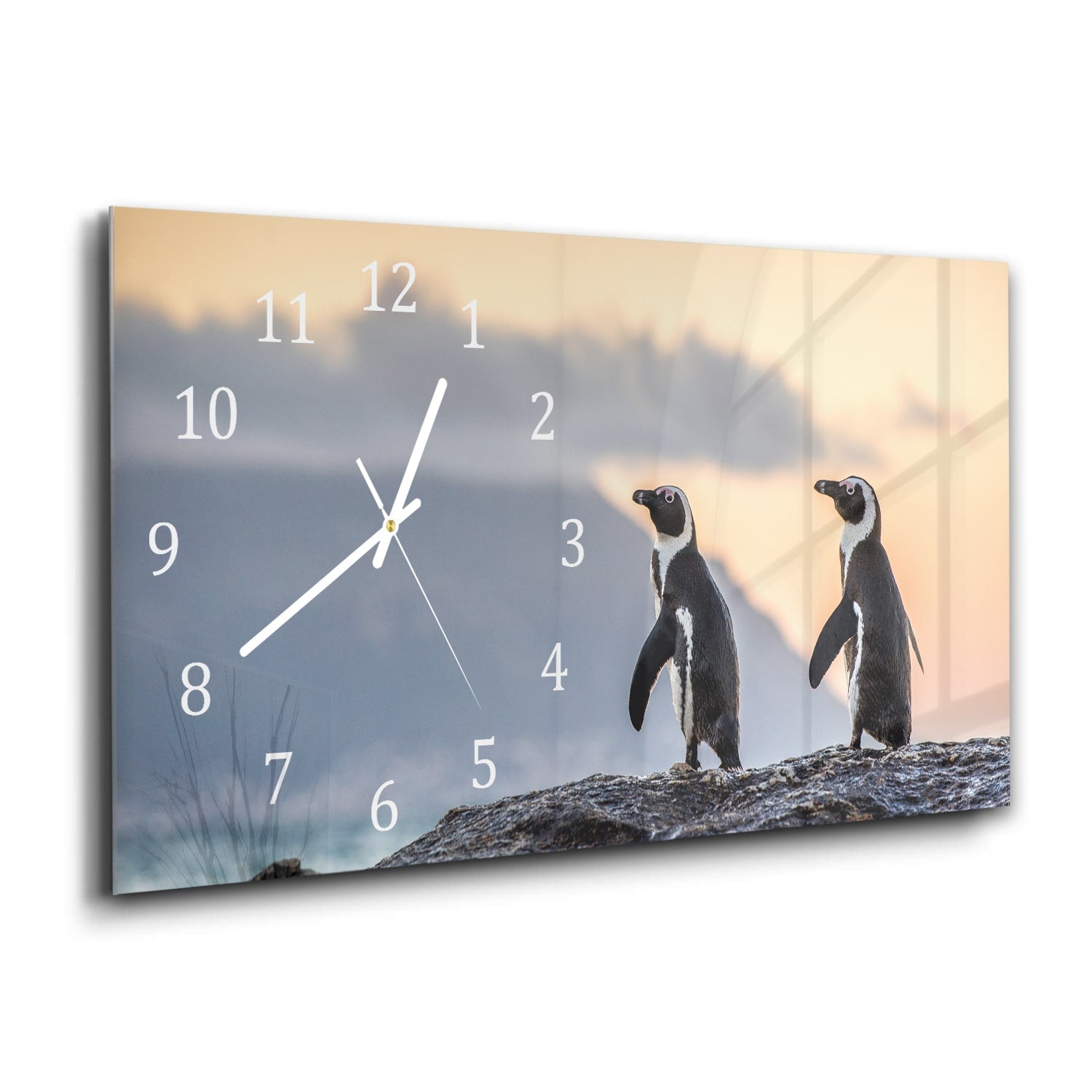 Wanduhr 60x30 - Afrikanische Pinguine