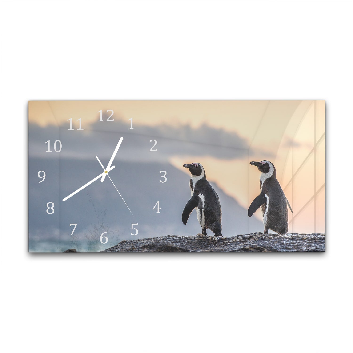 Wanduhr 60x30 - Afrikanische Pinguine