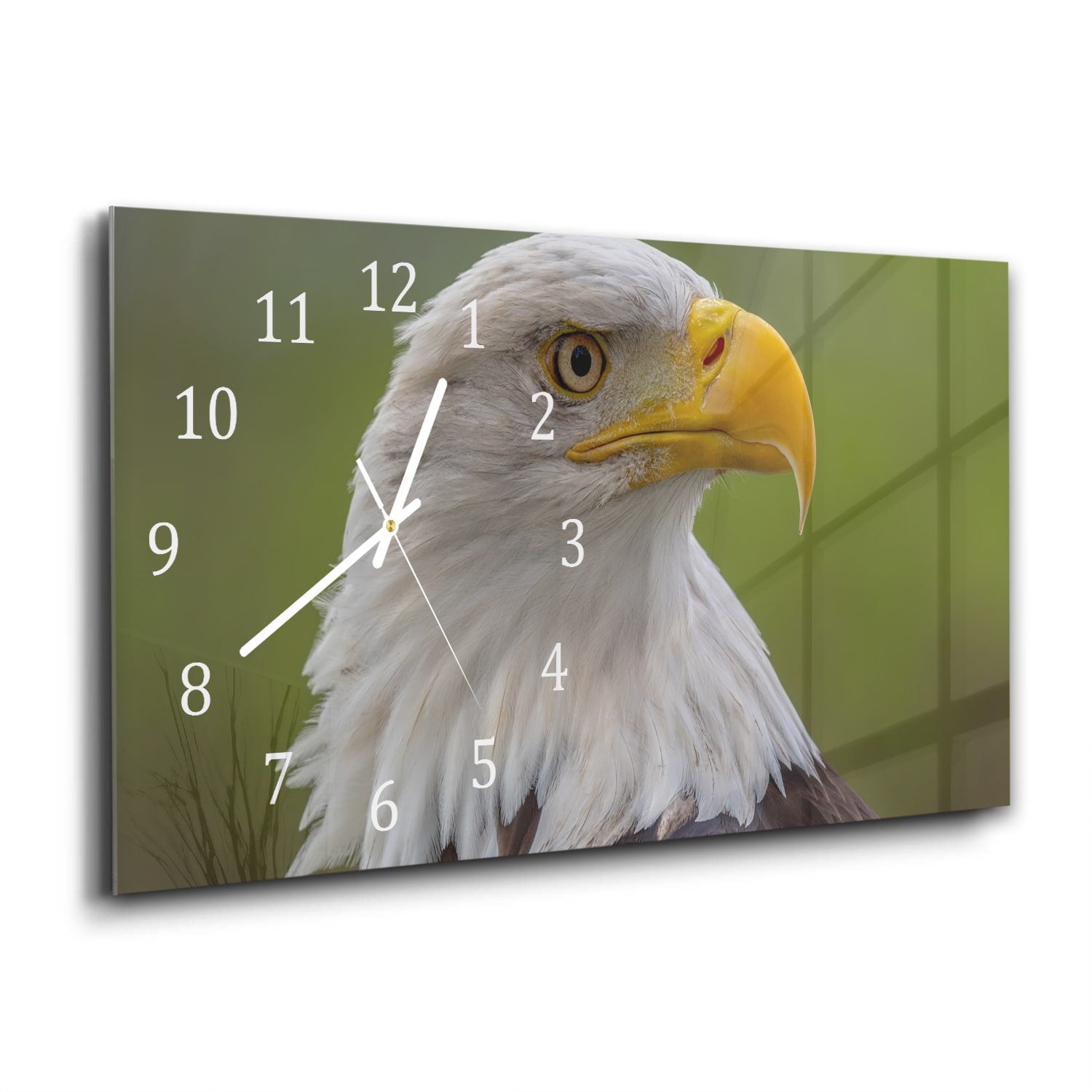 Wanduhr 60x30 - Seeadler