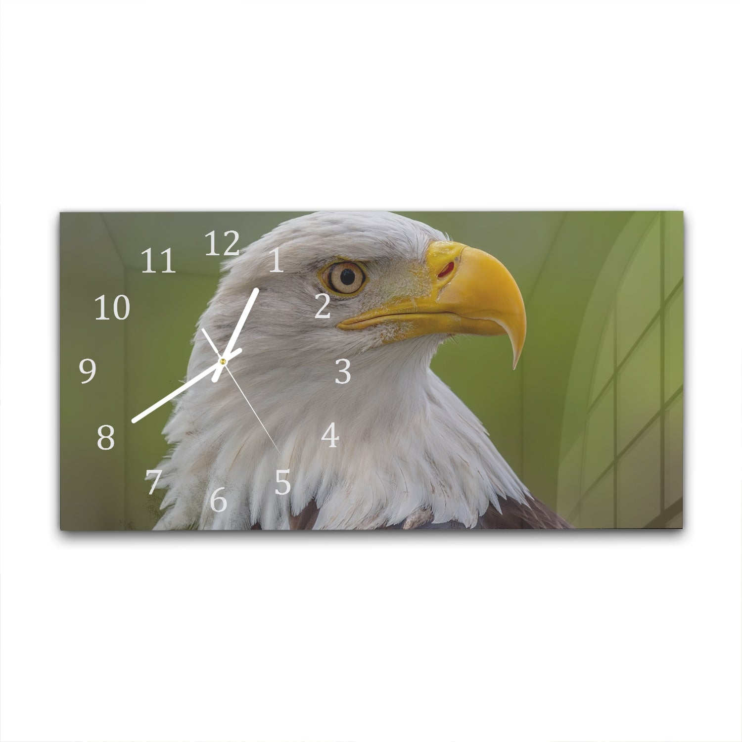 Wanduhr 60x30 - Seeadler