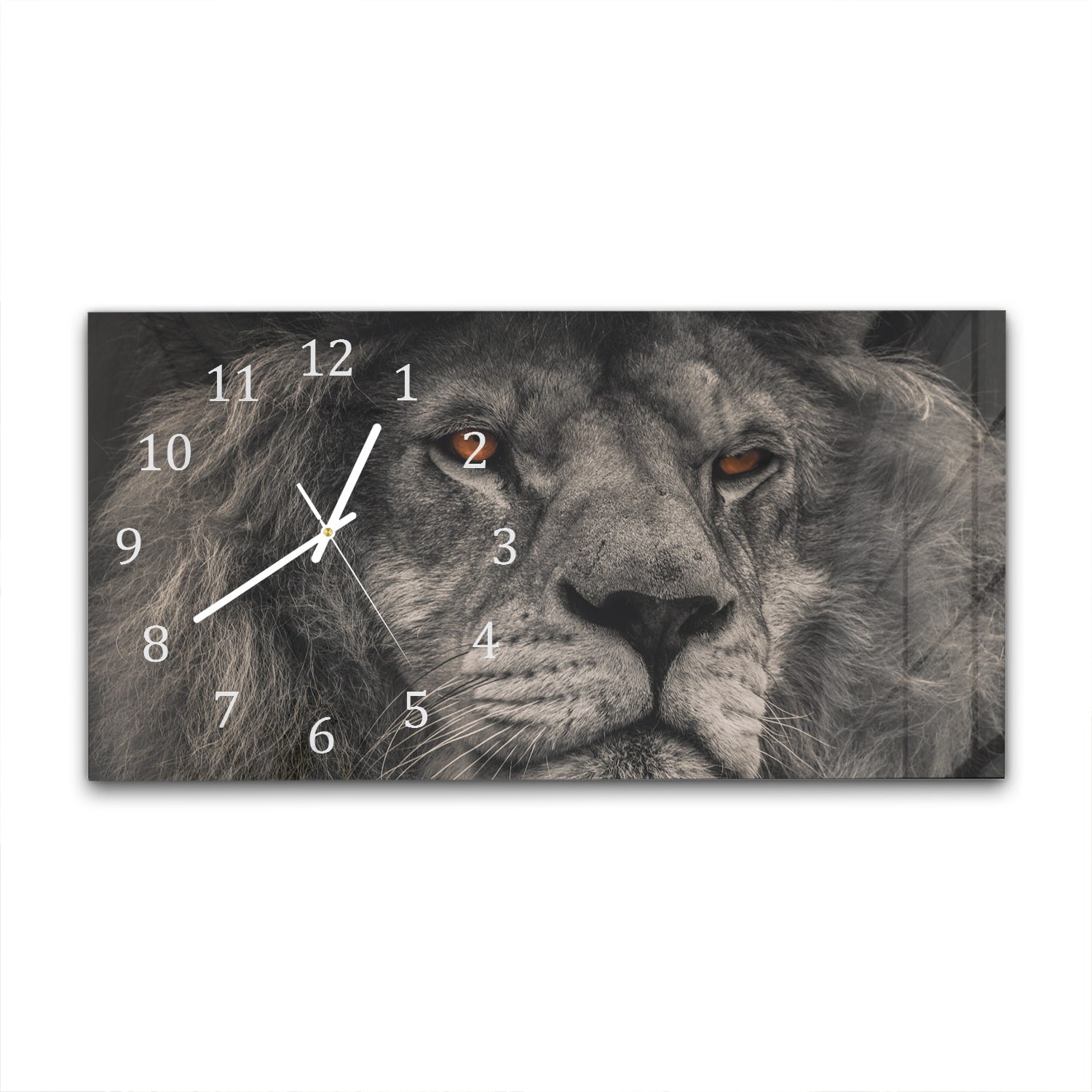 Wanduhr 60x30 - Löwe Nahaufnahme