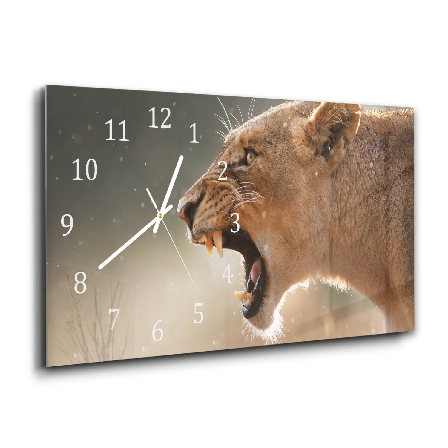Wanduhr 60x30 - Wilde Löwin
