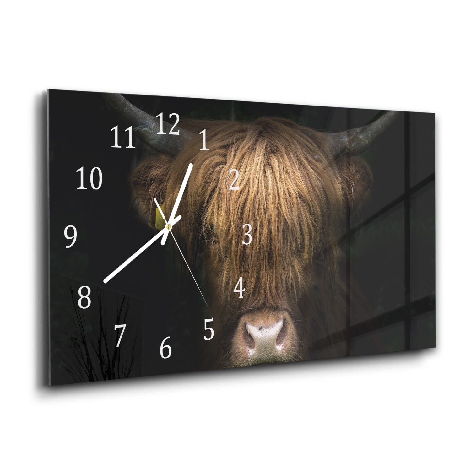 Wanduhr 60x30 - Porträt eines Schottischen Hochlandrinds