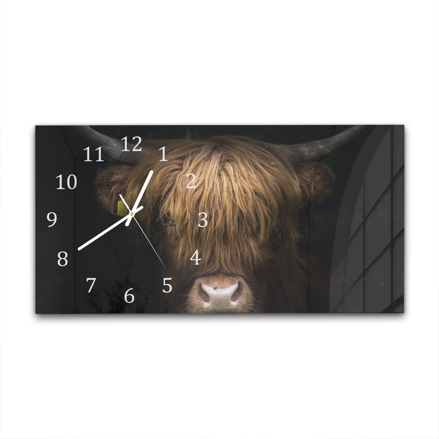 Wanduhr 60x30 - Porträt eines Schottischen Hochlandrinds