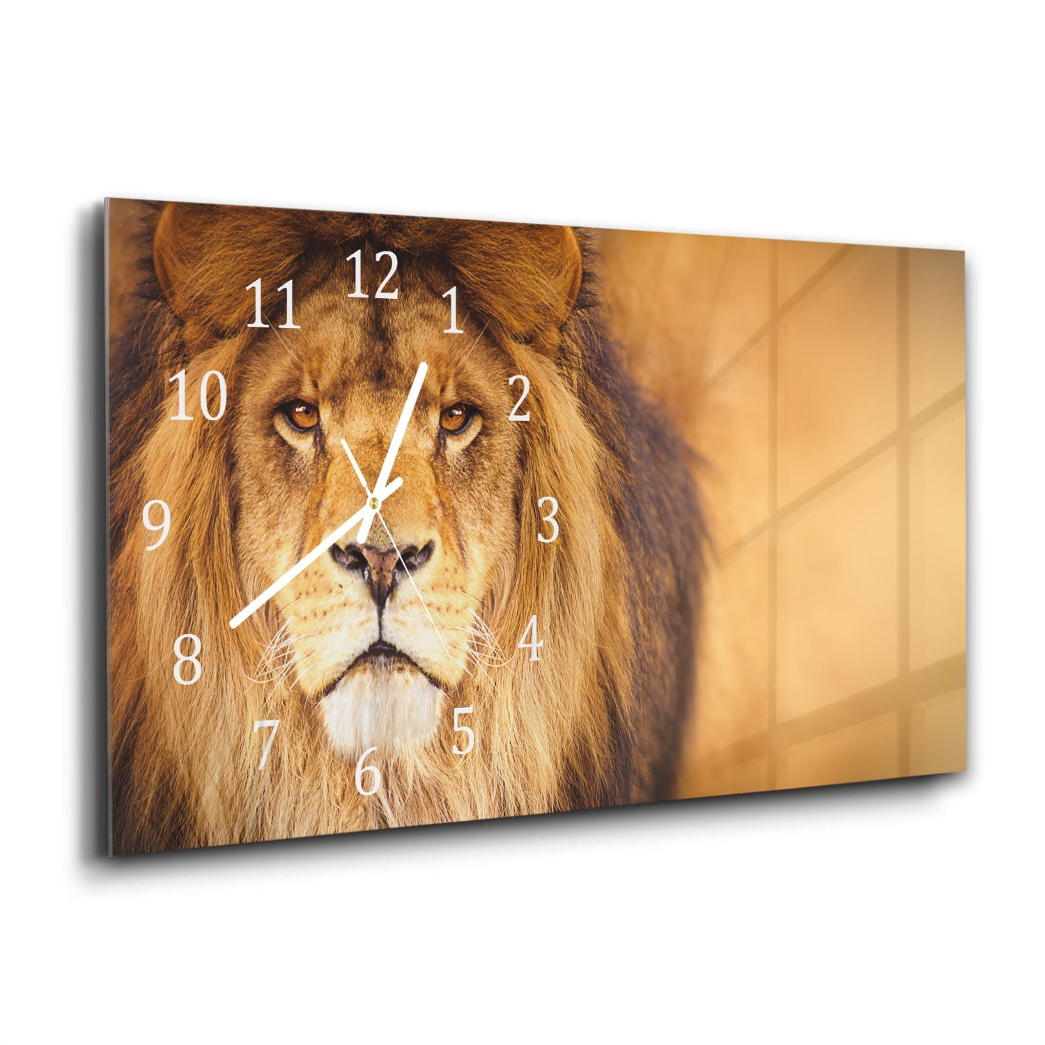 Wanduhr 60x30 - Afrikanischer Löwe