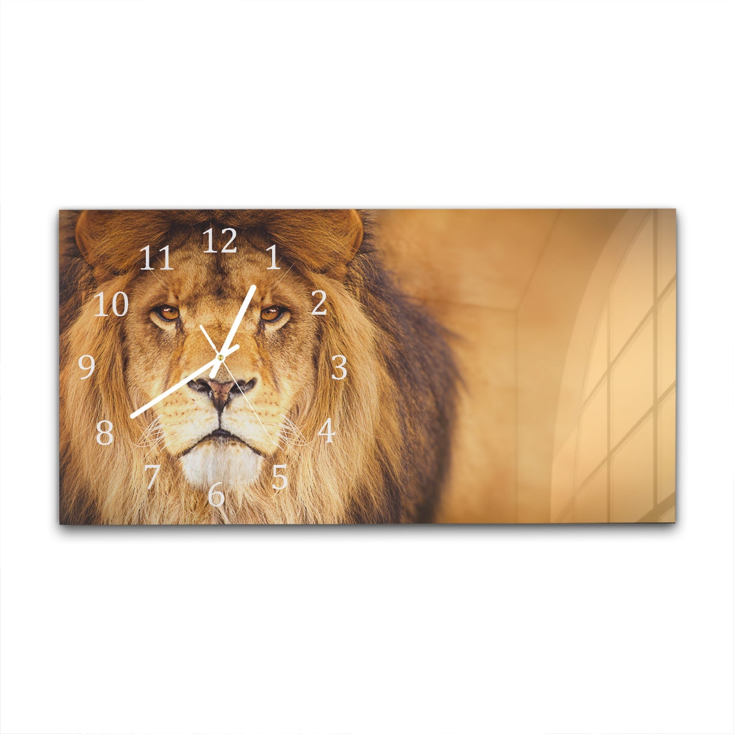 Wanduhr 60x30 - Afrikanischer Löwe