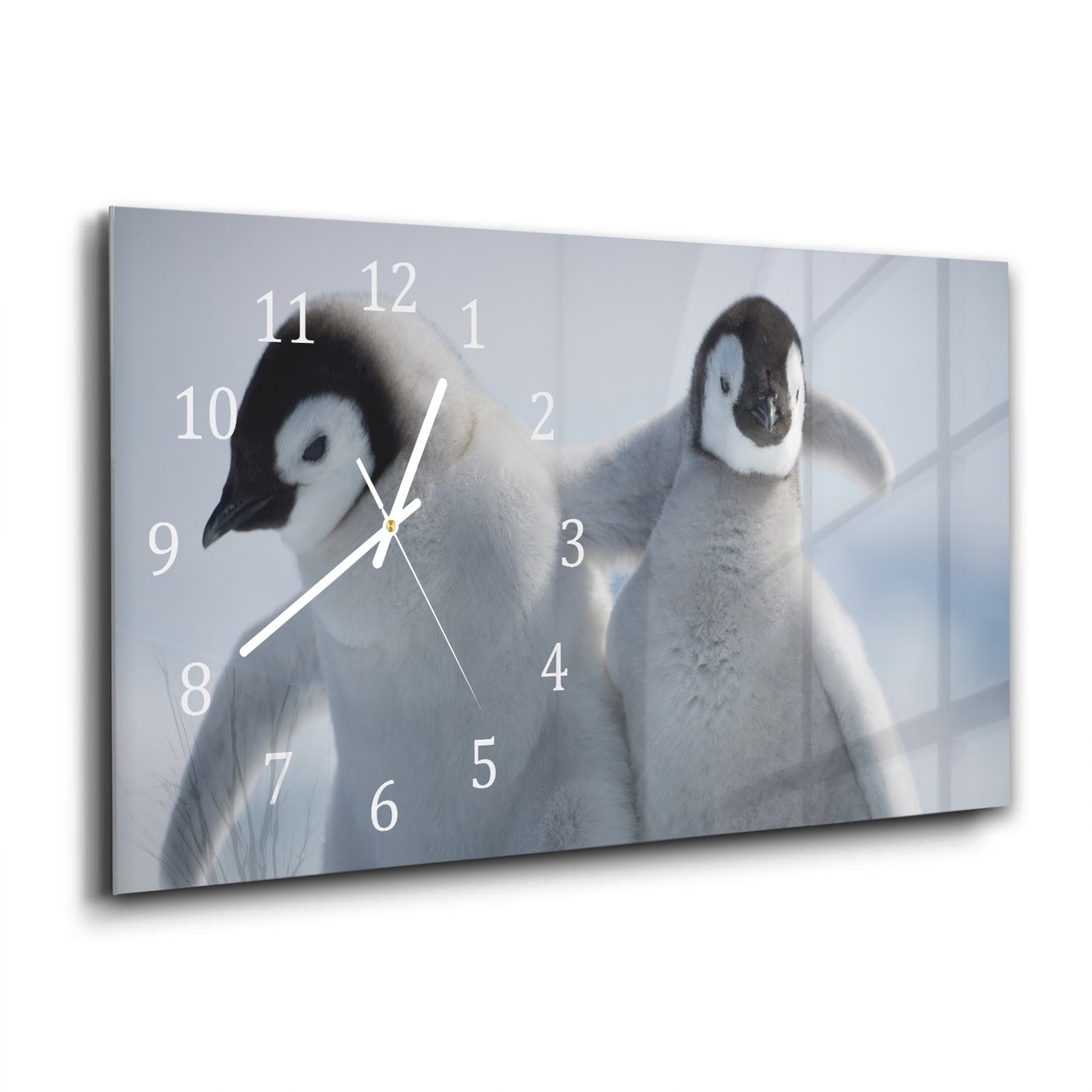 Wanduhr 60x30 - Kaiserpinguin-Küken