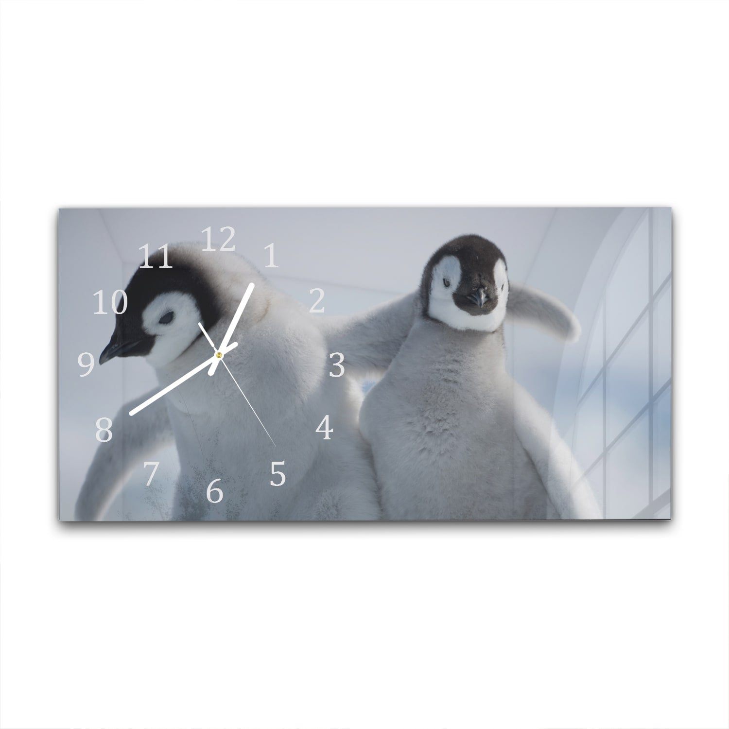 Wanduhr 60x30 - Kaiserpinguin-Küken