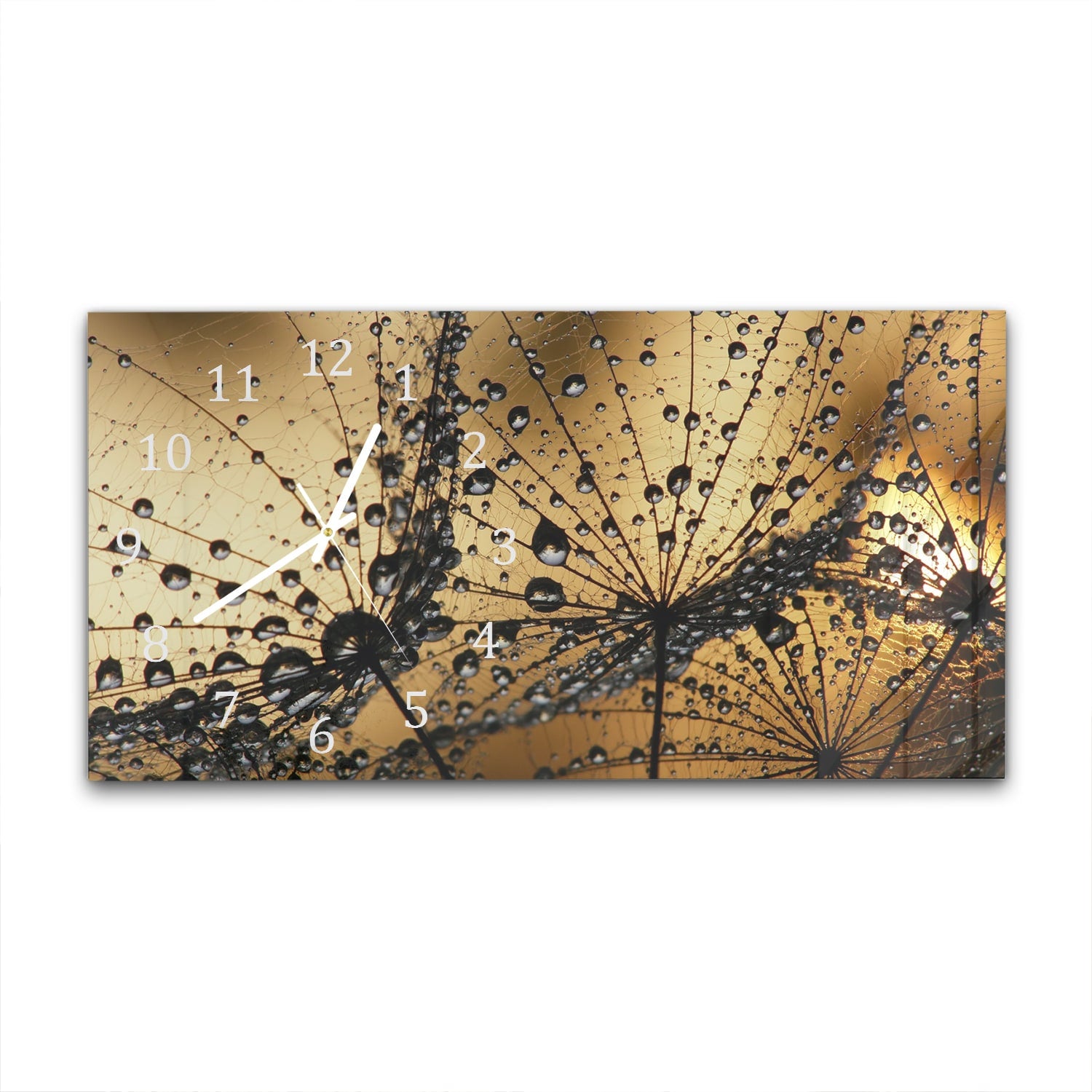 Wanduhr 60x30 - Nasser Löwenzahnsamen