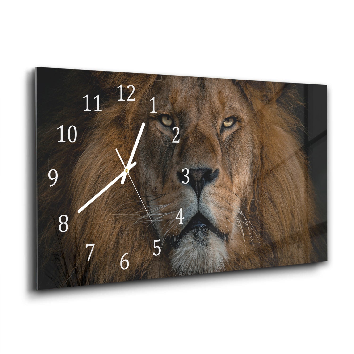 Wanduhr 60x30 - Löwe in Nahaufnahme