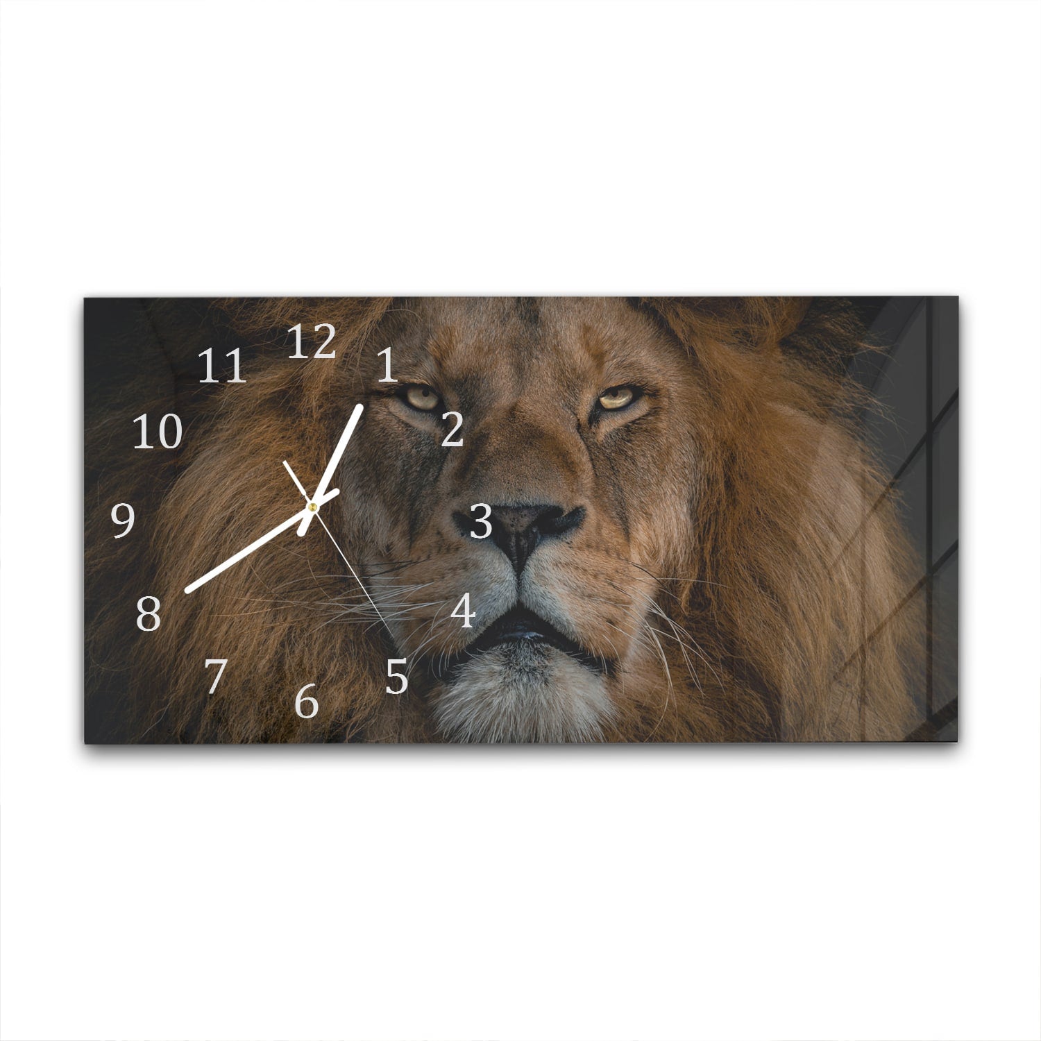 Wanduhr 60x30 - Löwe in Nahaufnahme