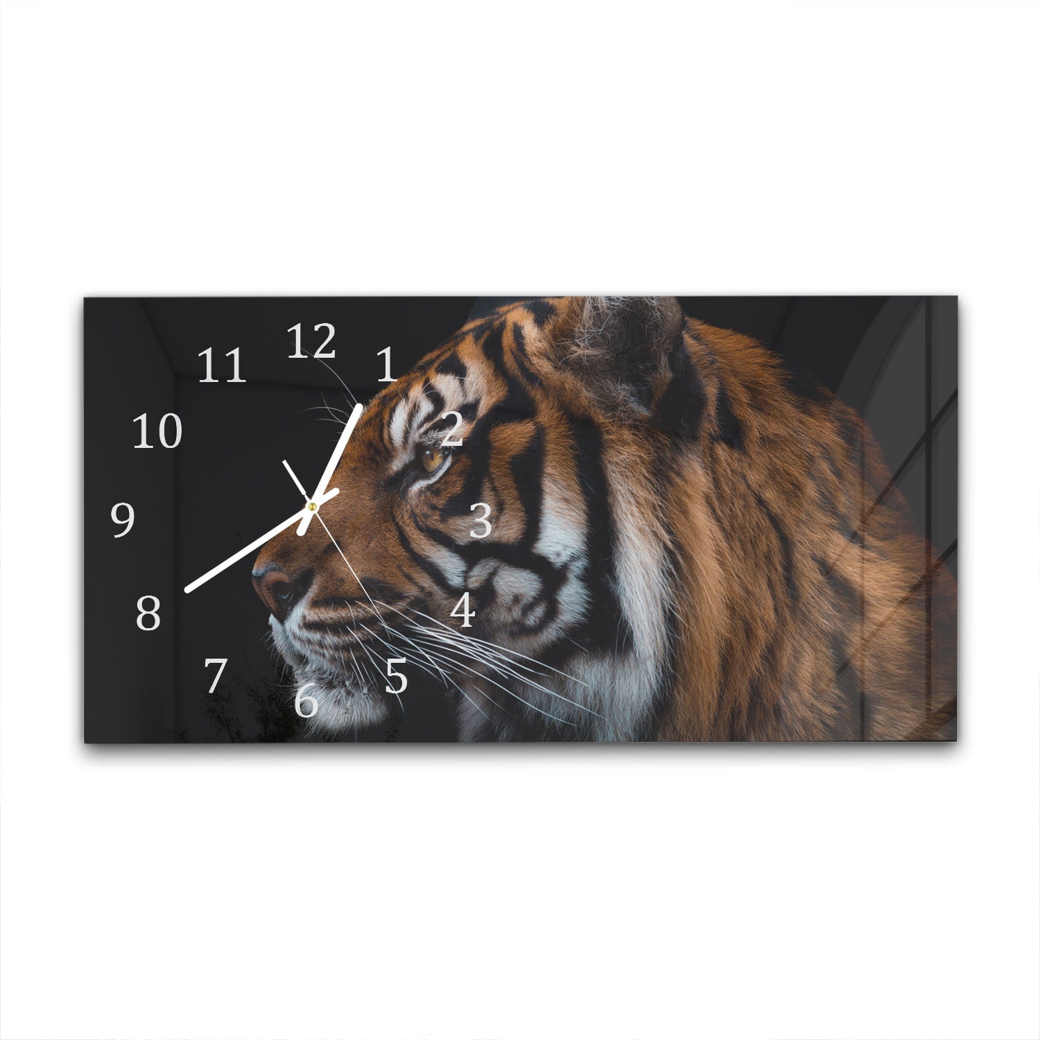 Wanduhr 60x30 - Tiger-Seitenporträt