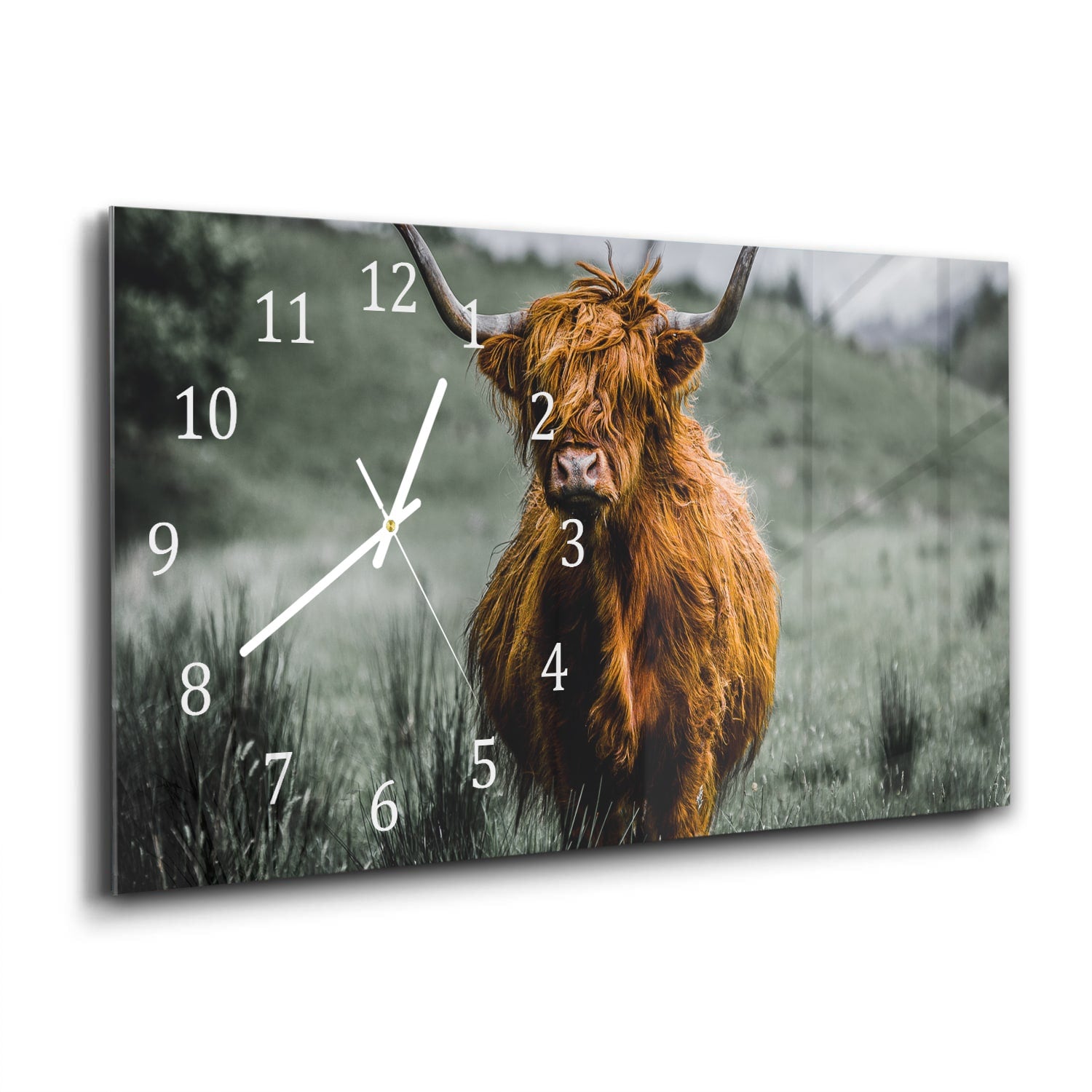 Wanduhr 60x30 - Schottisches Hochlandrind