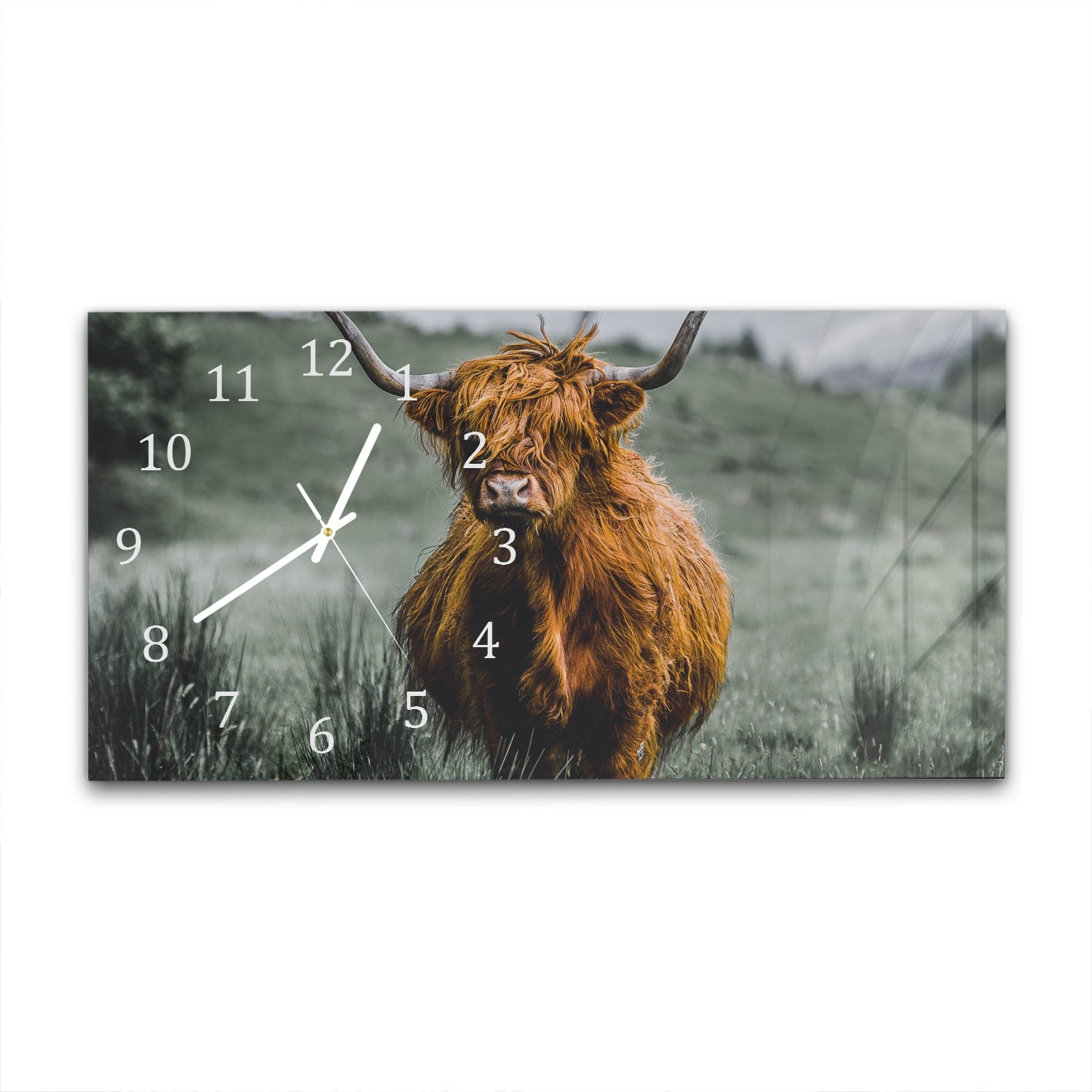 Wanduhr 60x30 - Schottisches Hochlandrind